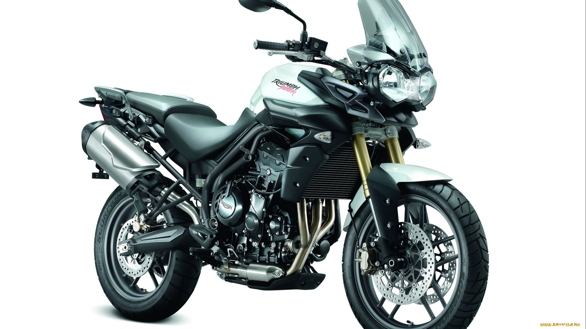 мотоциклы, triumph