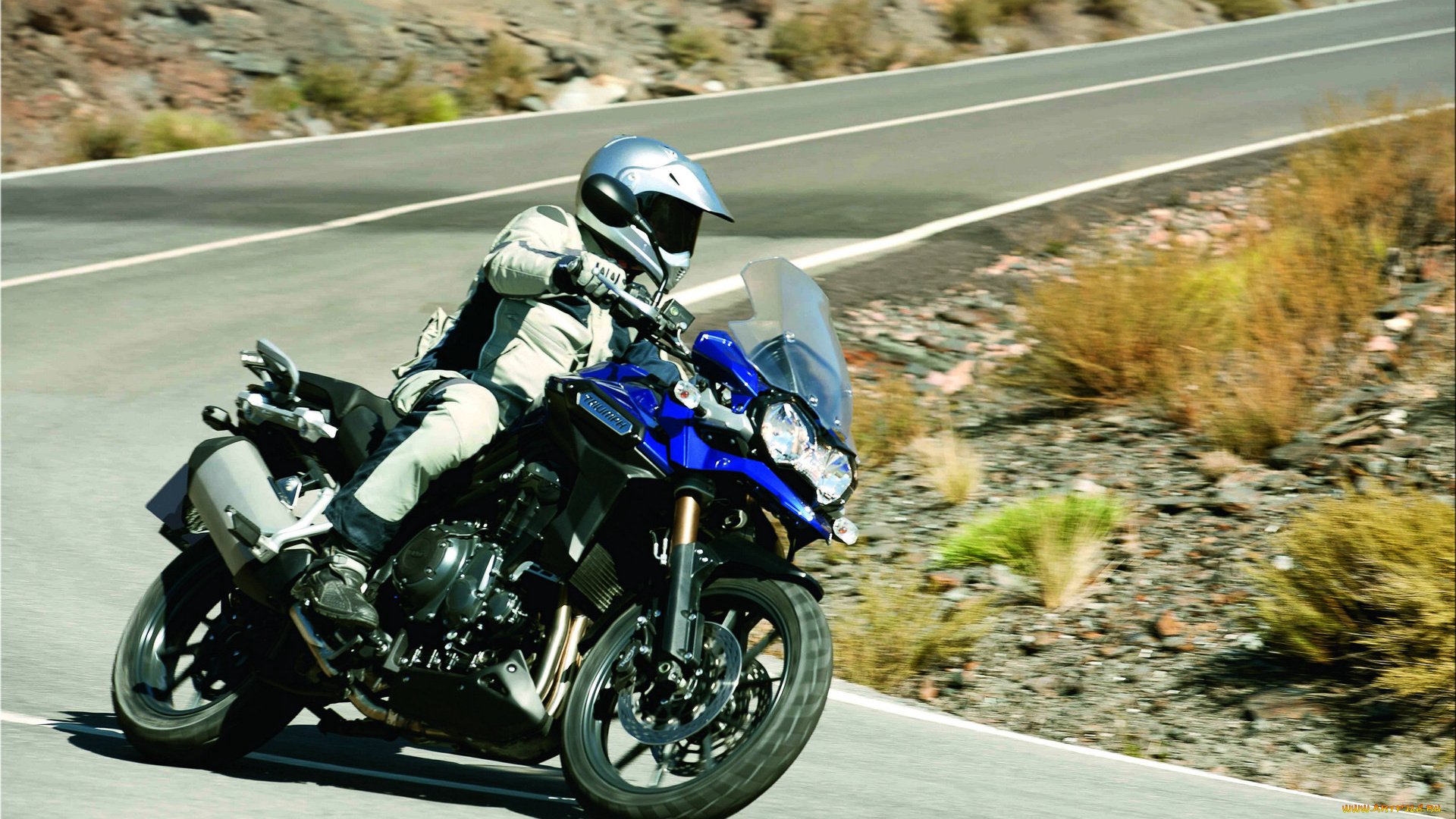 мотоциклы, triumph