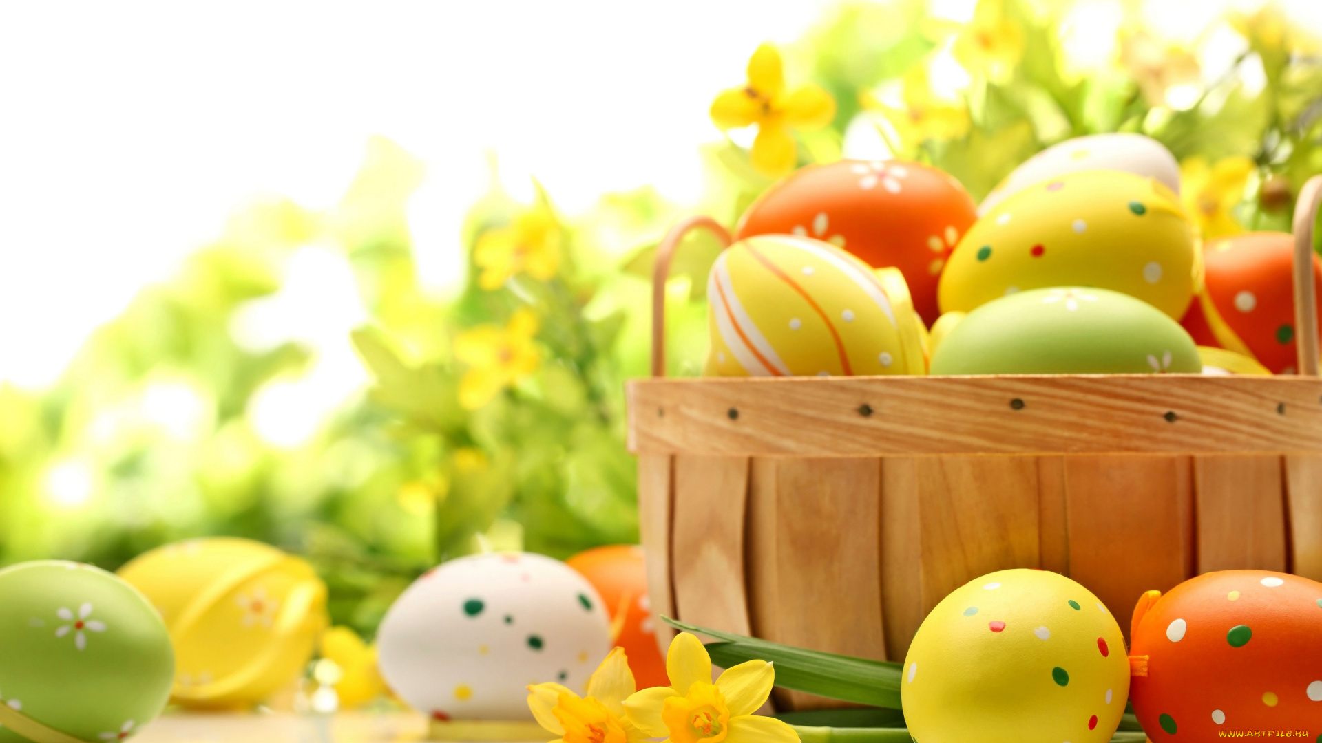 праздничные, пасха, яйца, крашенки, цветы, нарциссы, лукошко