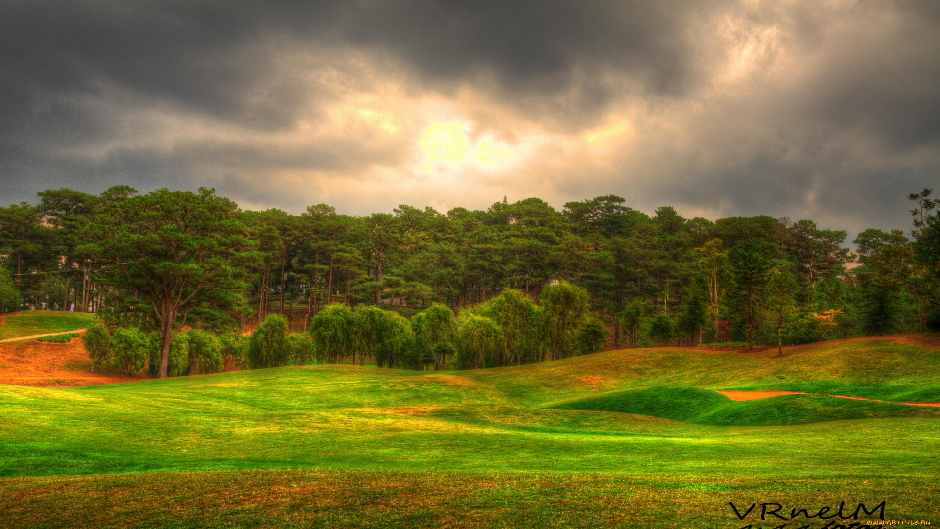 природа, лес, hdr