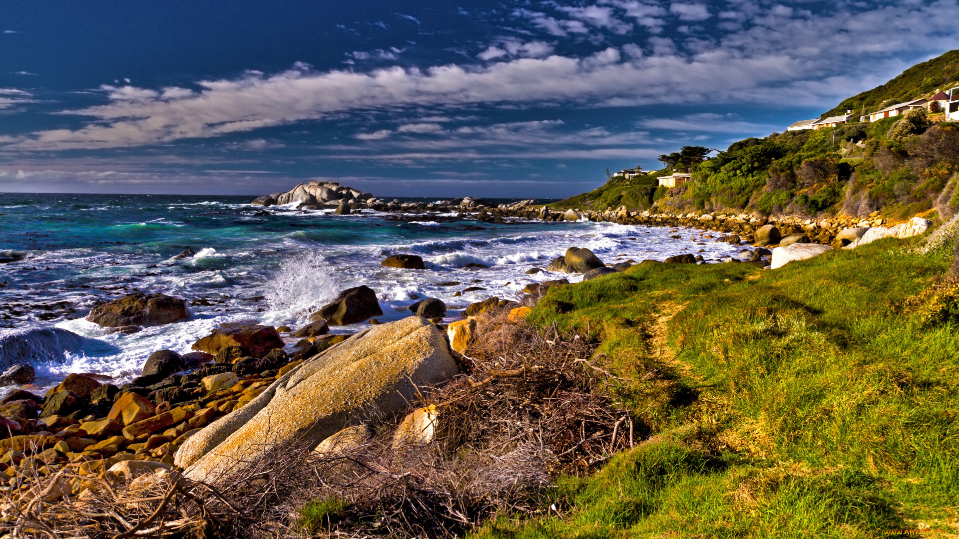 природа, побережье, намибия