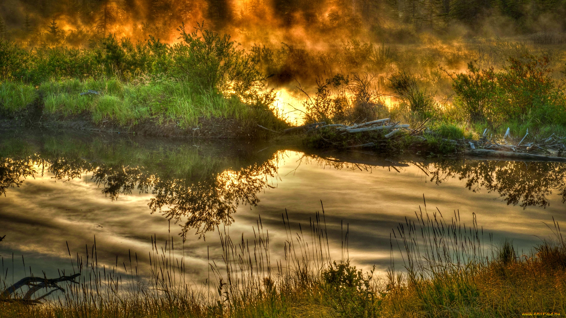 природа, реки, озера, кусты, лес, озеро, утро, туман, трава