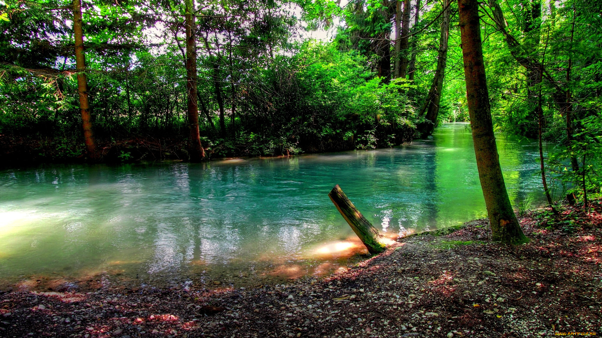 природа, реки, озера, река, лето, лес