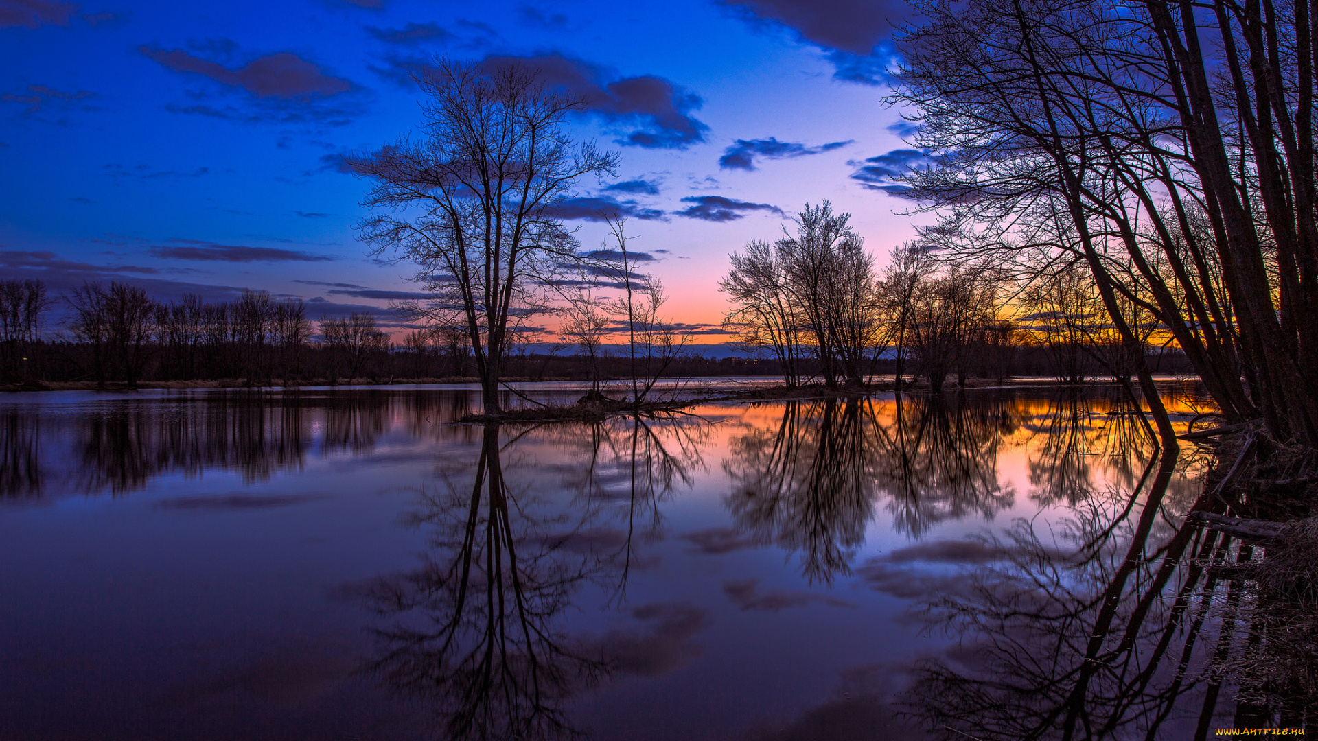 природа, реки, озера, река, вечер, тучи, деревья, зарево