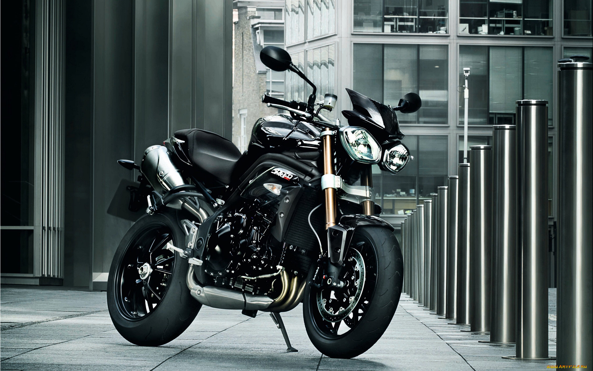 мотоциклы, triumph