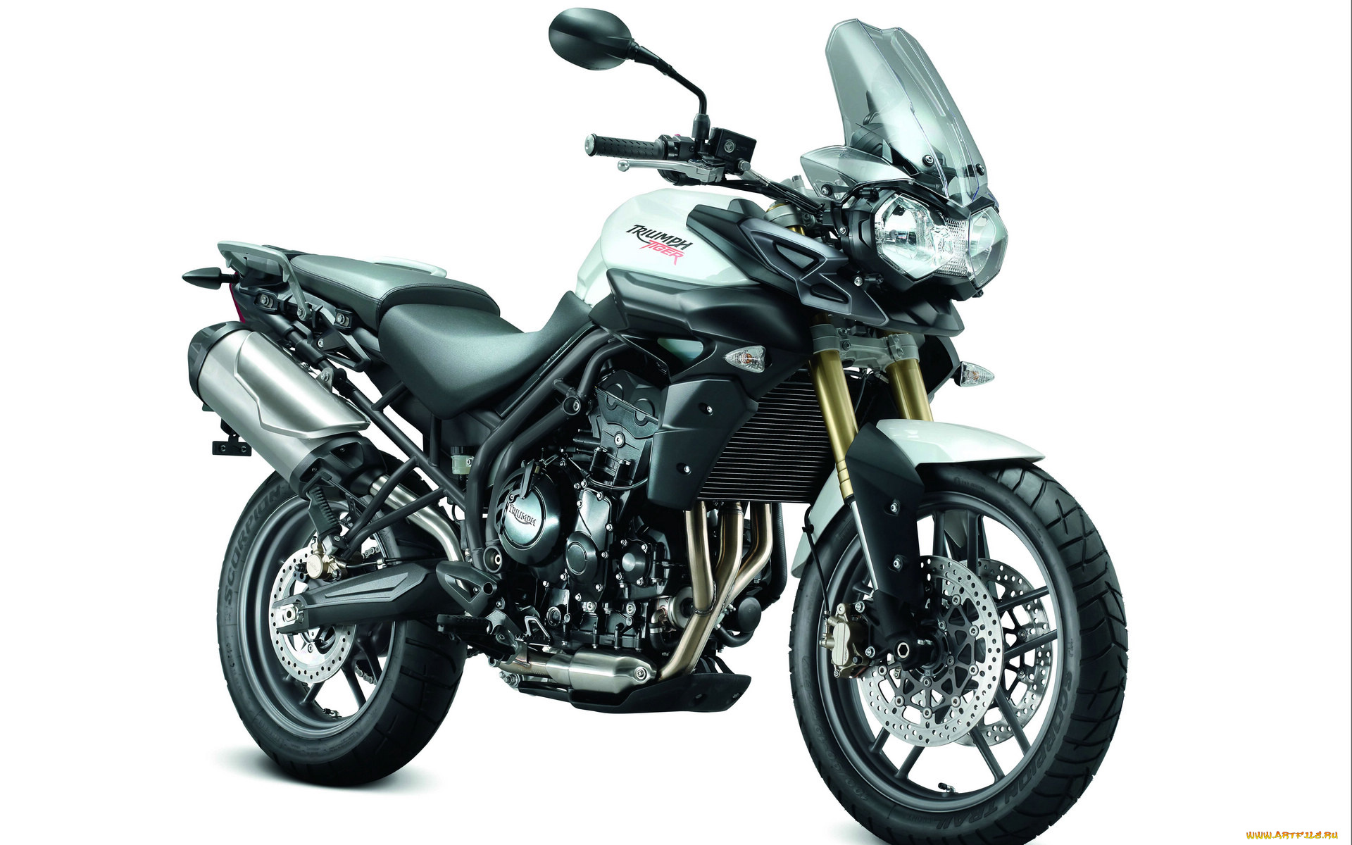 мотоциклы, triumph