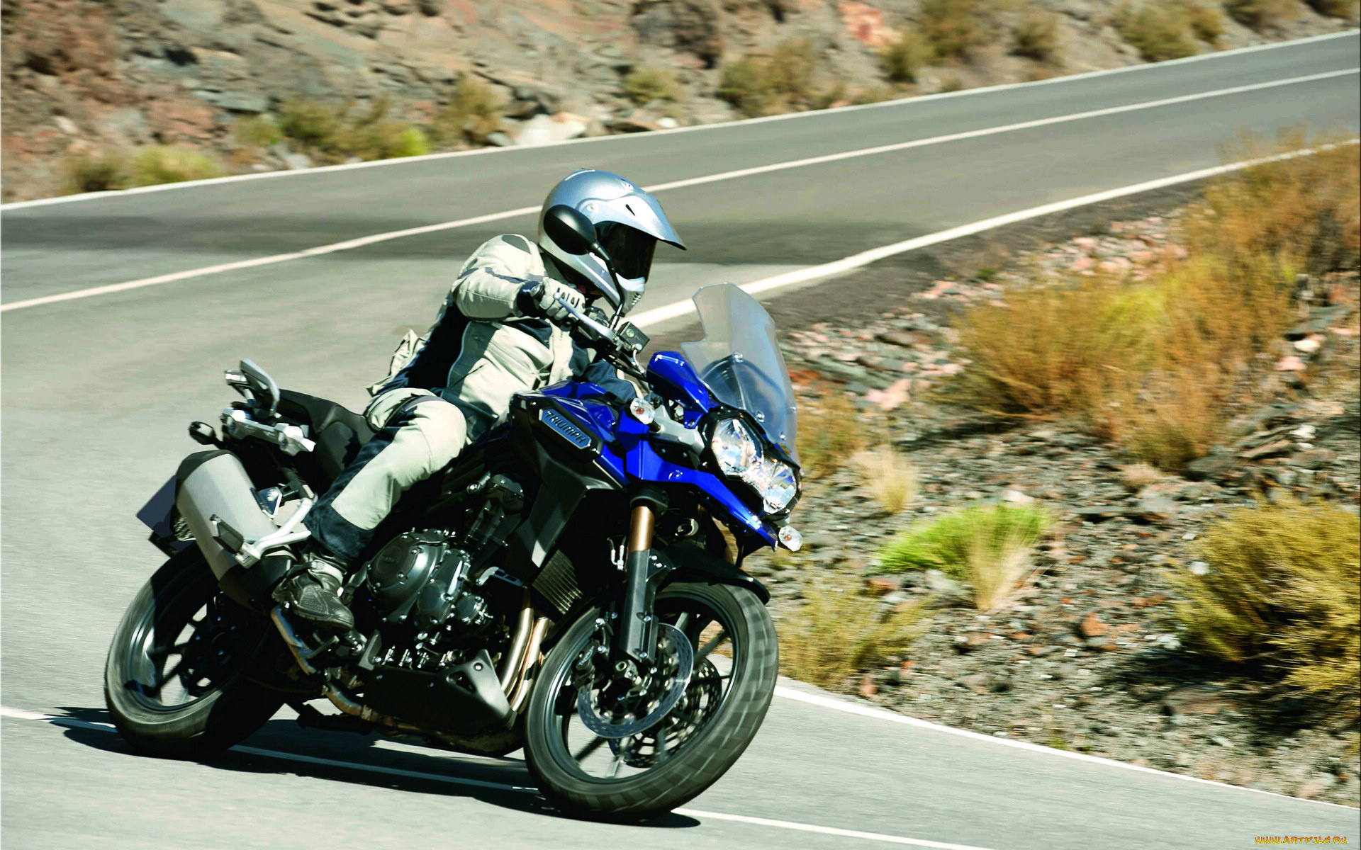 мотоциклы, triumph