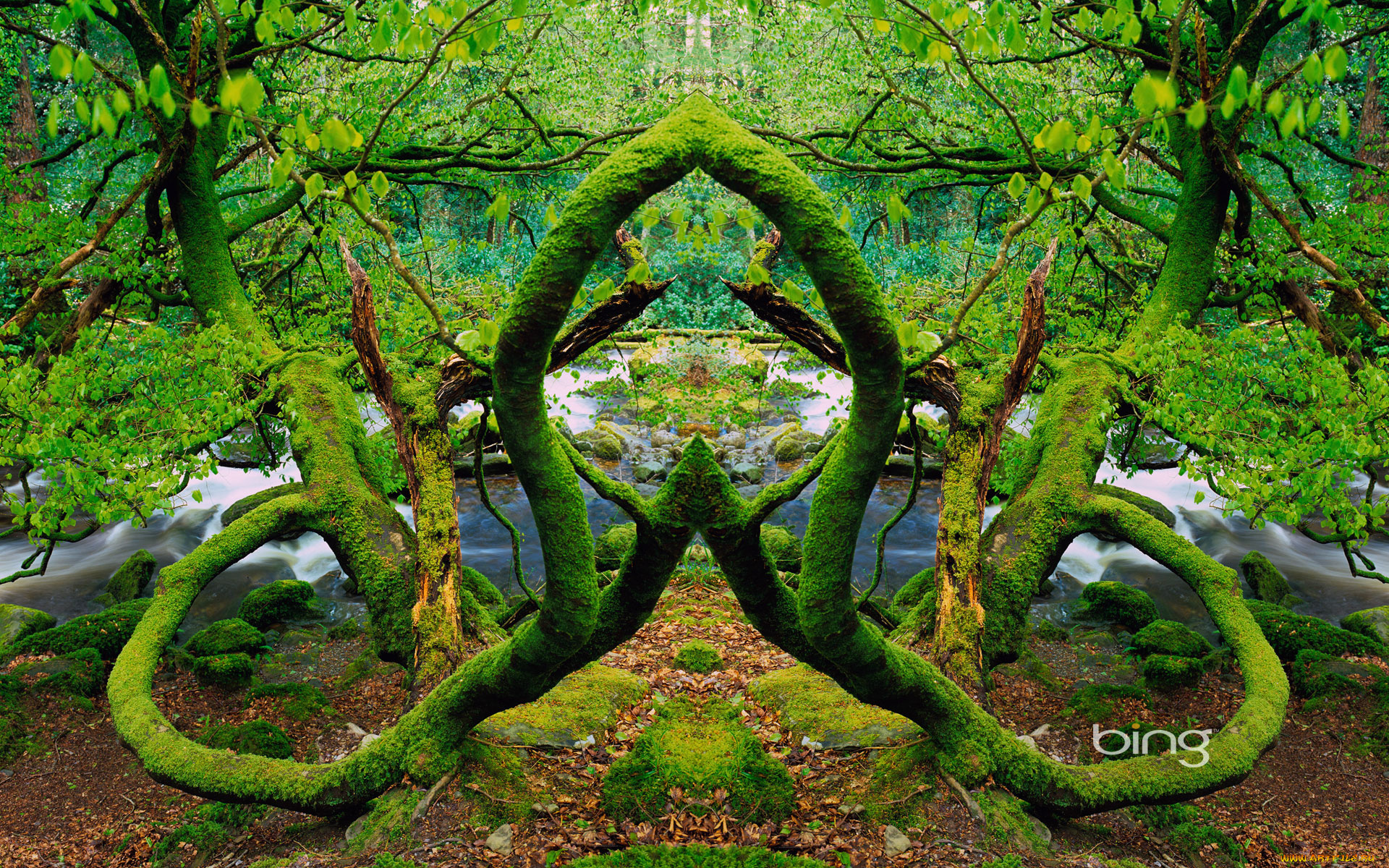 разное, компьютерный, дизайн, деревья, ветки, река