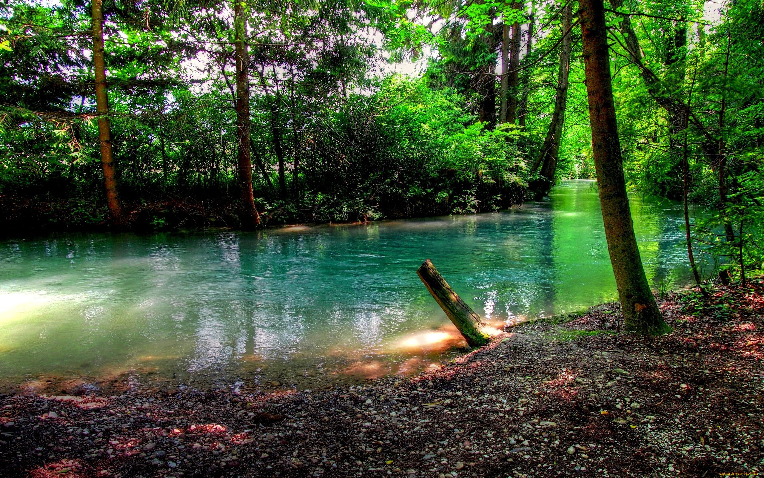 природа, реки, озера, река, лето, лес