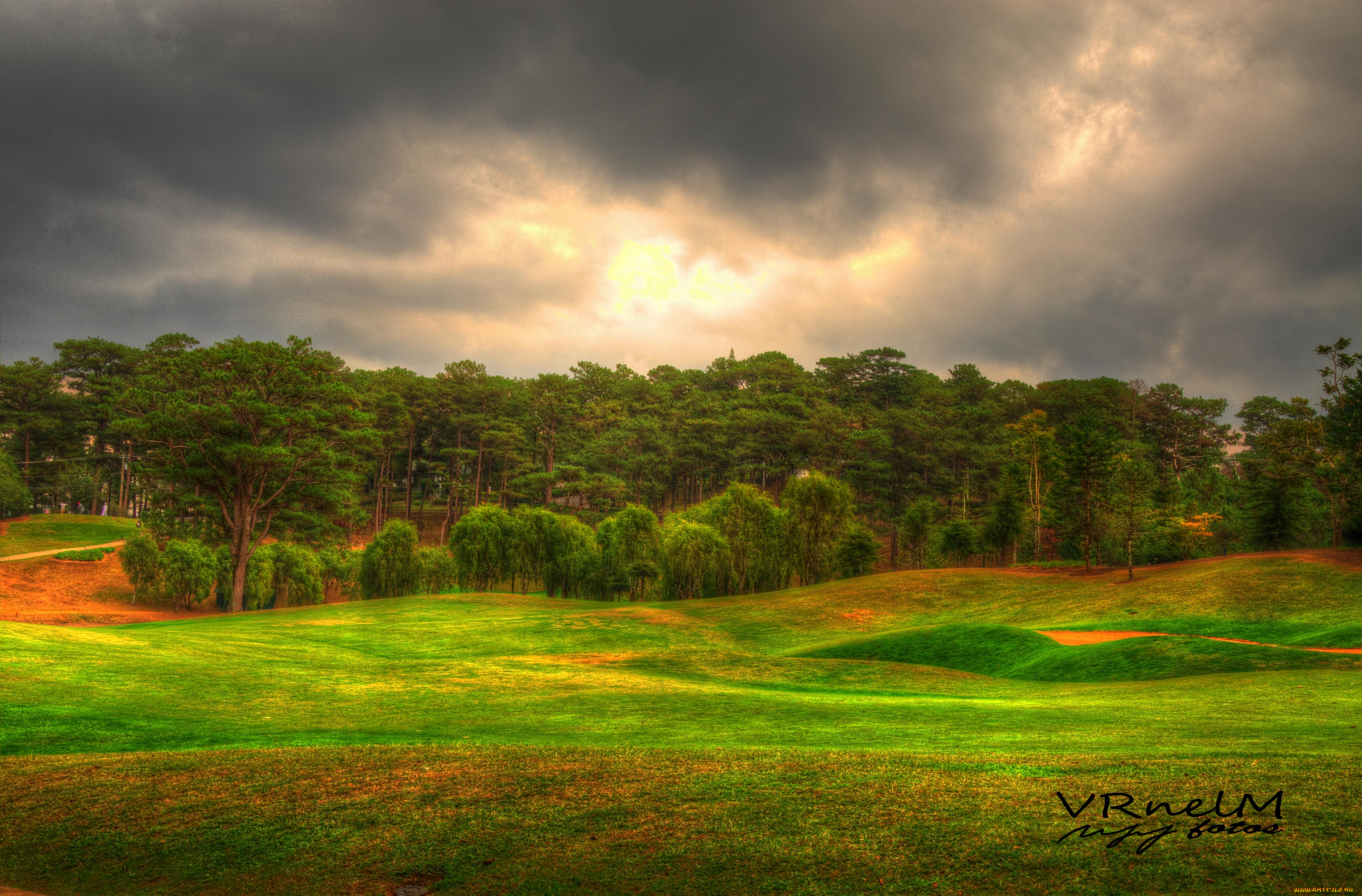 природа, лес, hdr