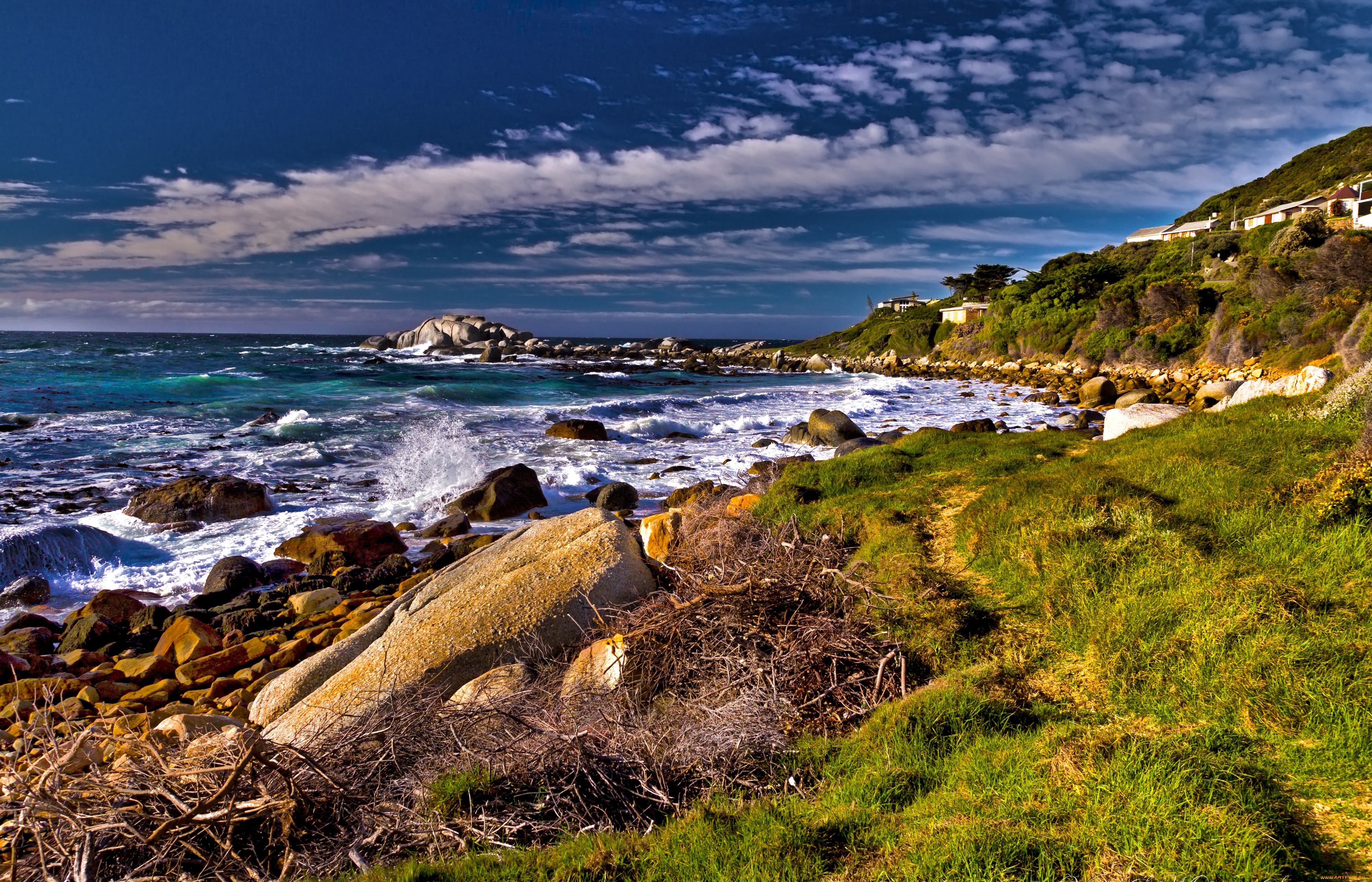 природа, побережье, намибия