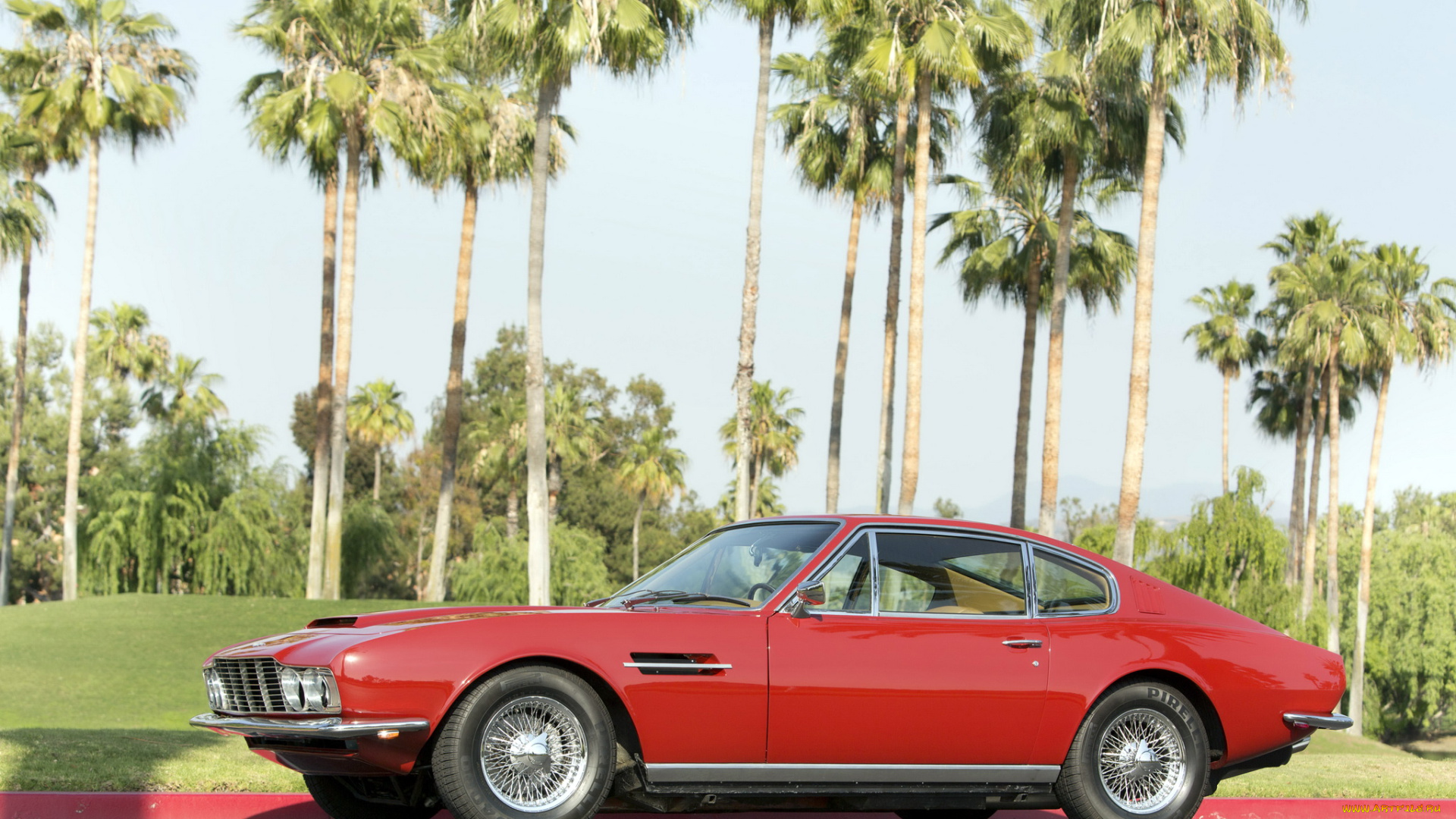 автомобили, aston, martin, пальмы, aston, martin