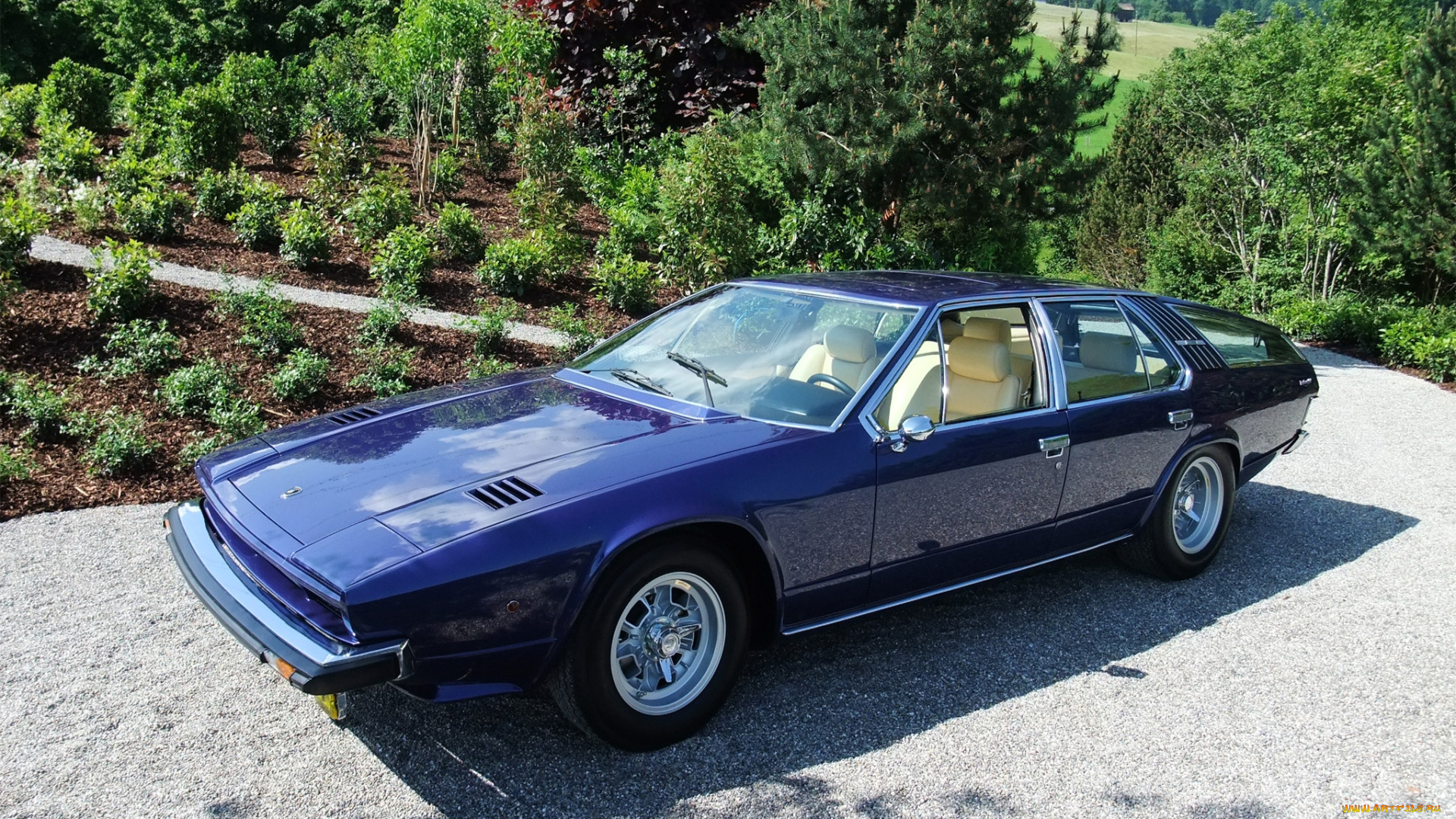 автомобили, lamborghini