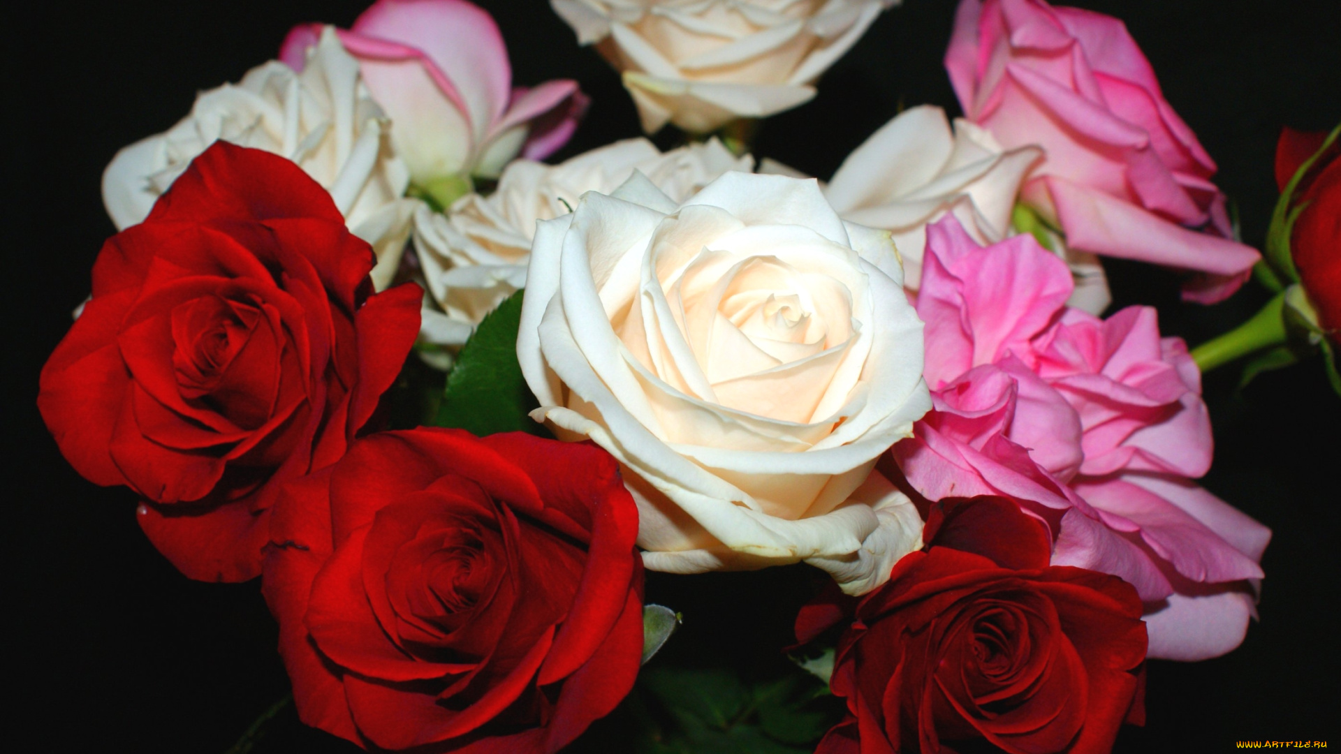 цветы, розы, букет