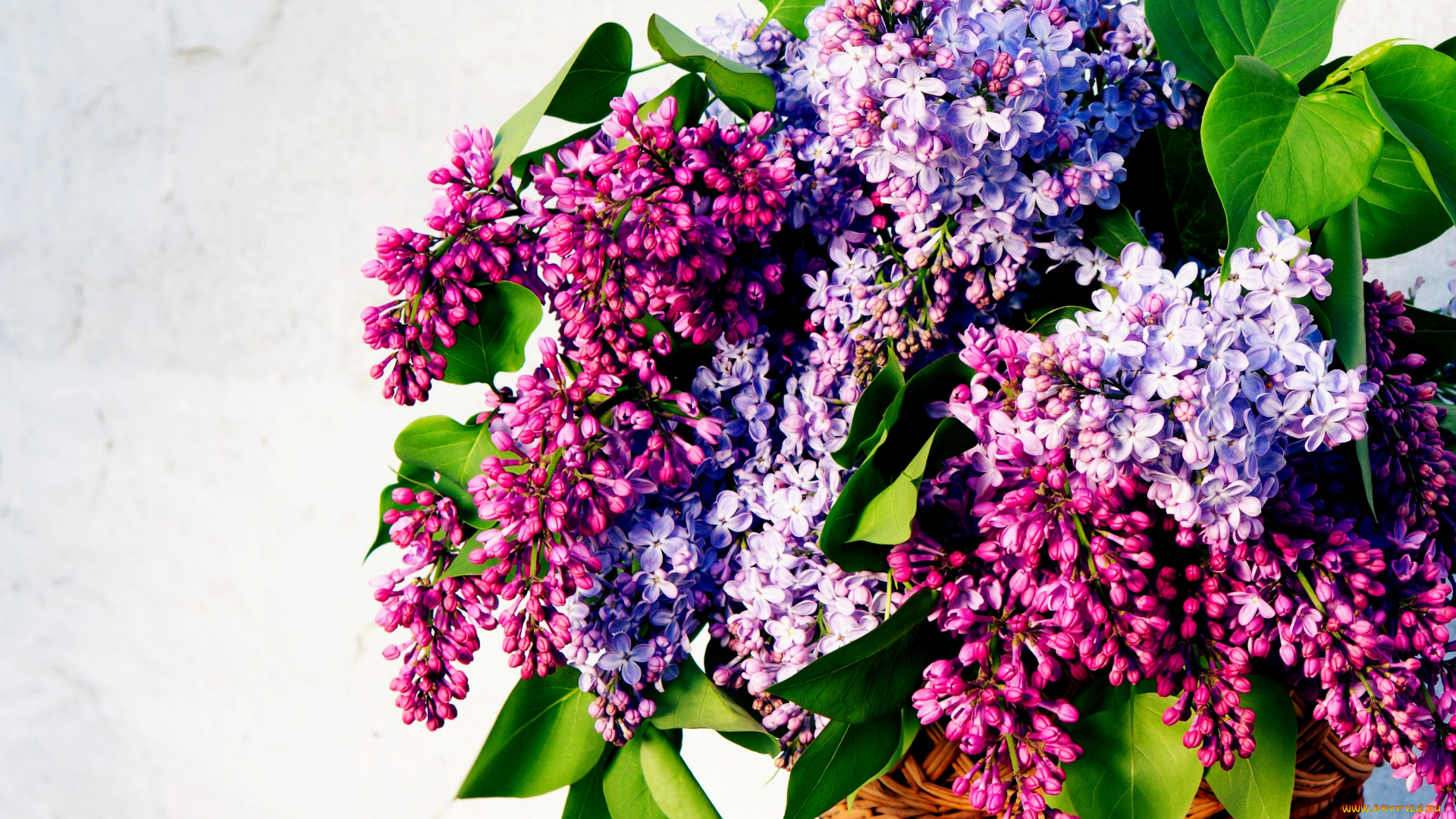 цветы, сирень, ваза, букет