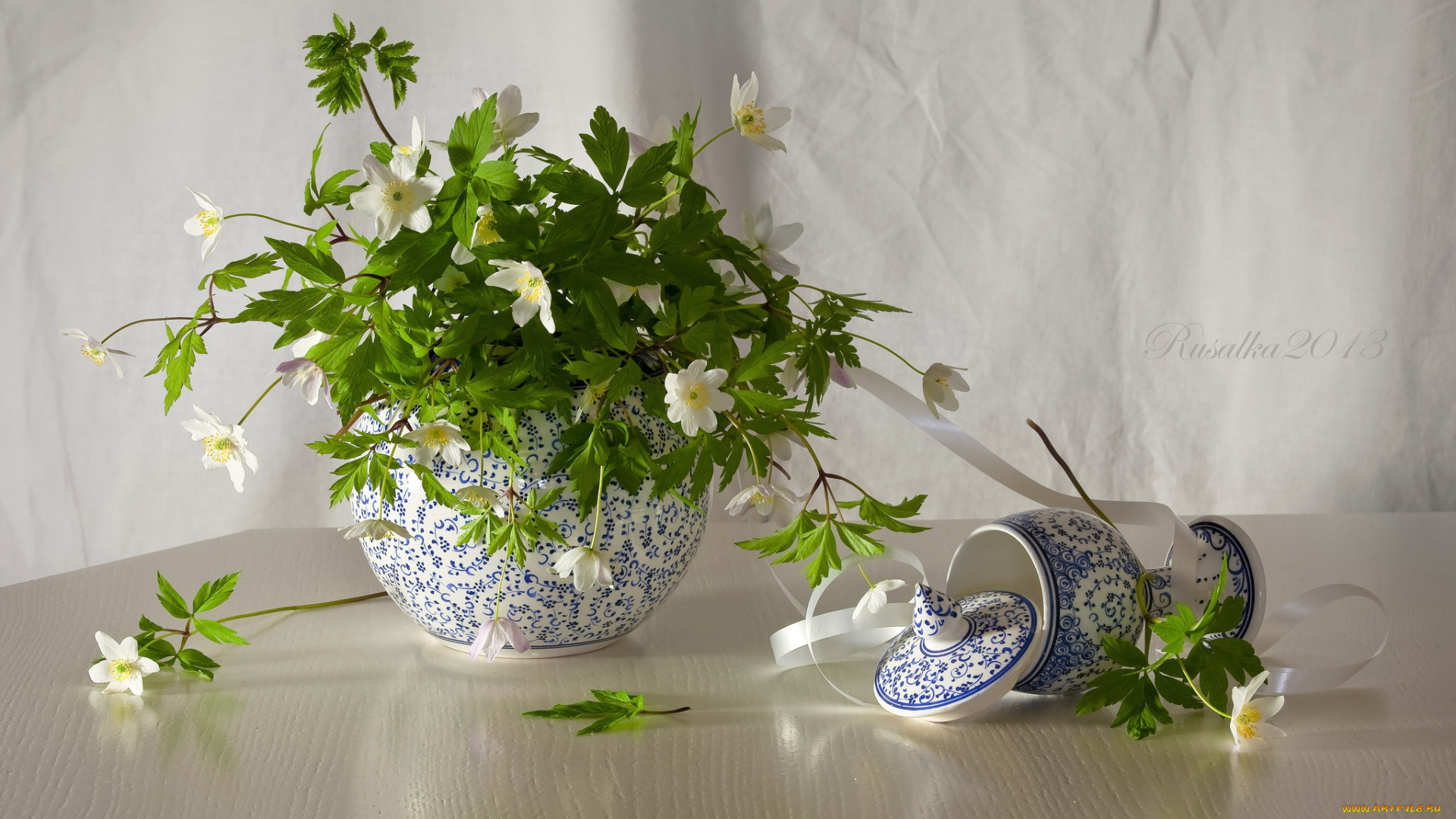 цветы, ветреницы, , печёночницы, букет