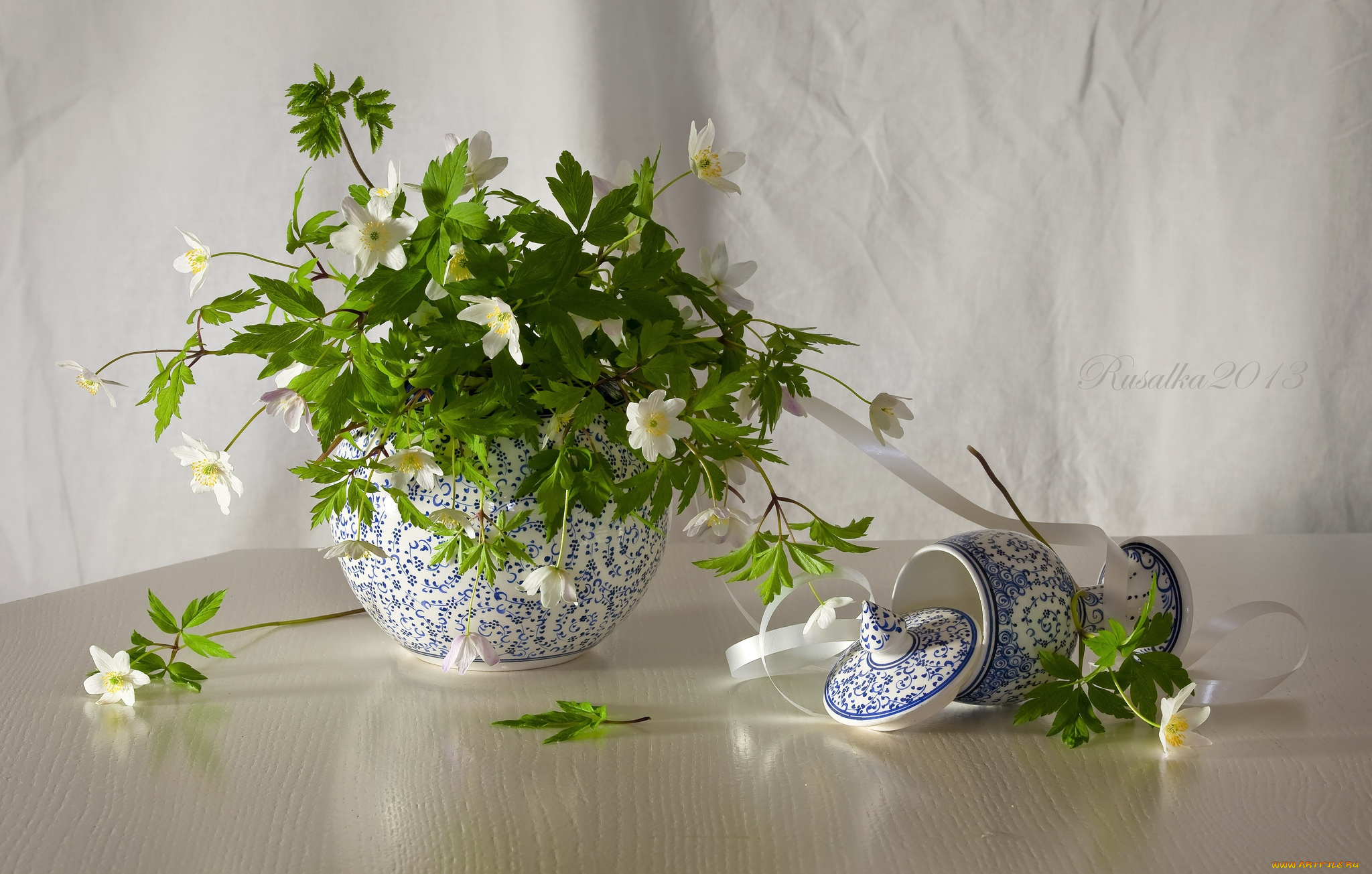 цветы, ветреницы, , печёночницы, букет