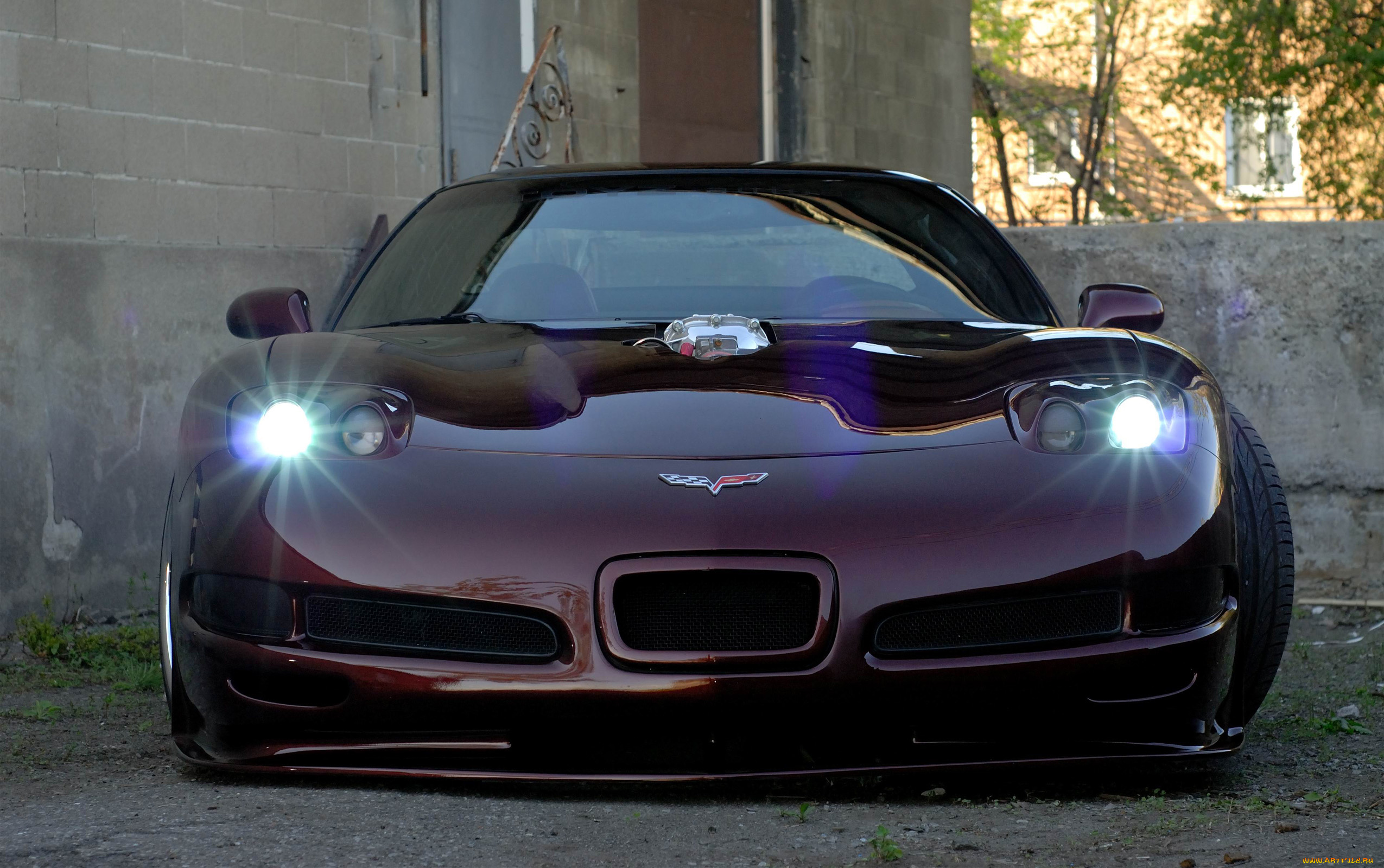 автомобили, corvette, vette