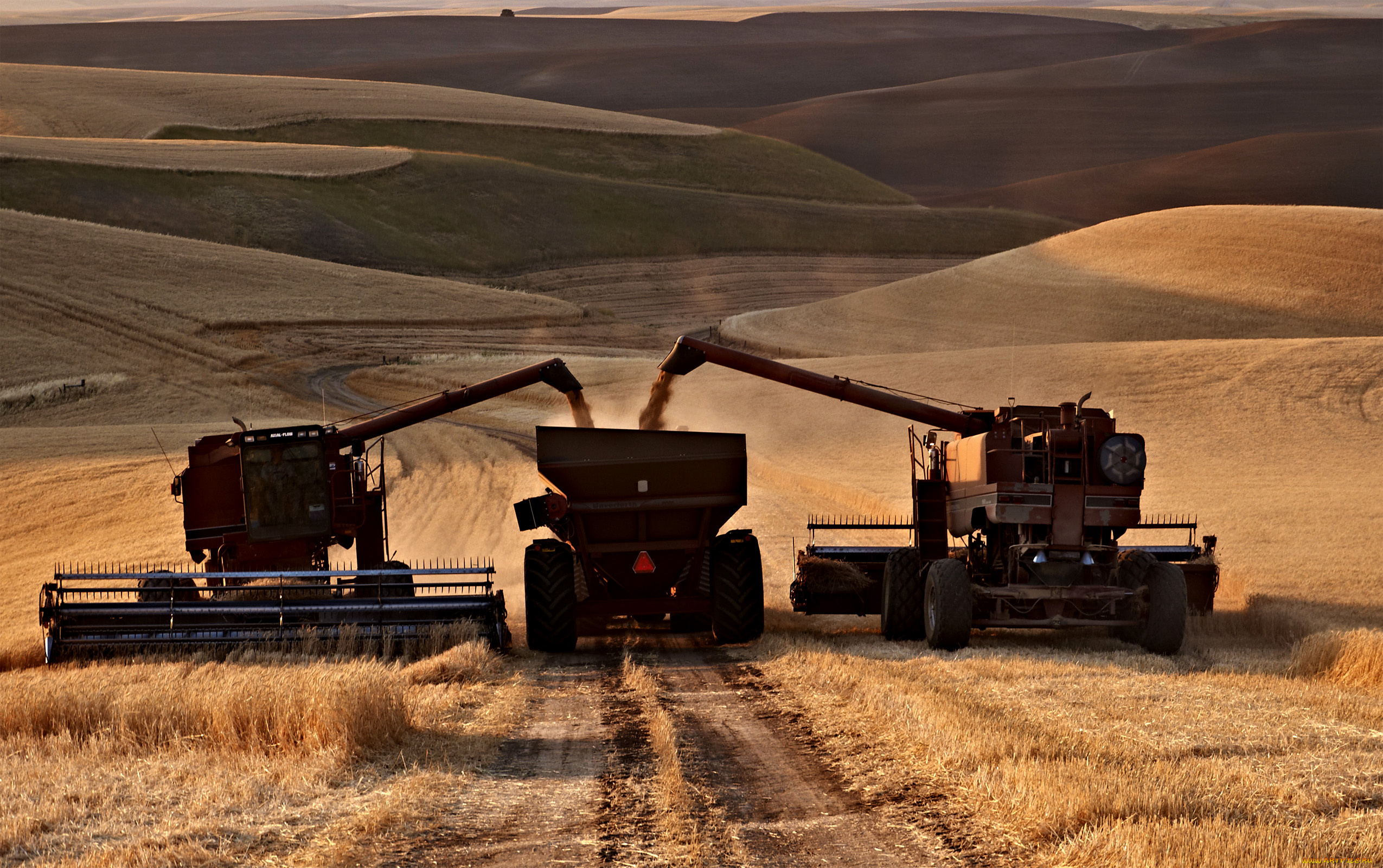 техника, комбайны, поле, комбайн