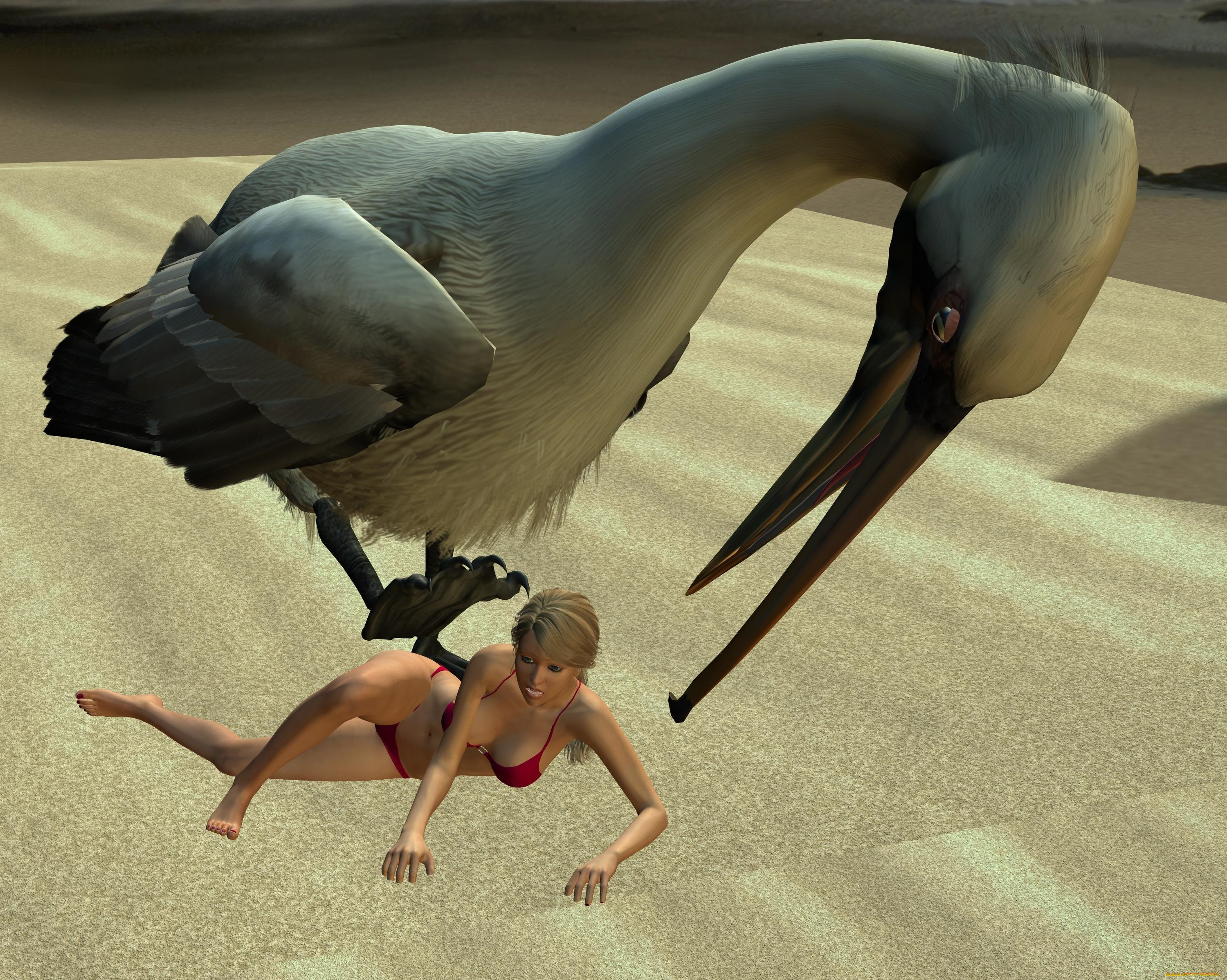 3д, графика, fantasy, , фантазия, девушка, пеликан