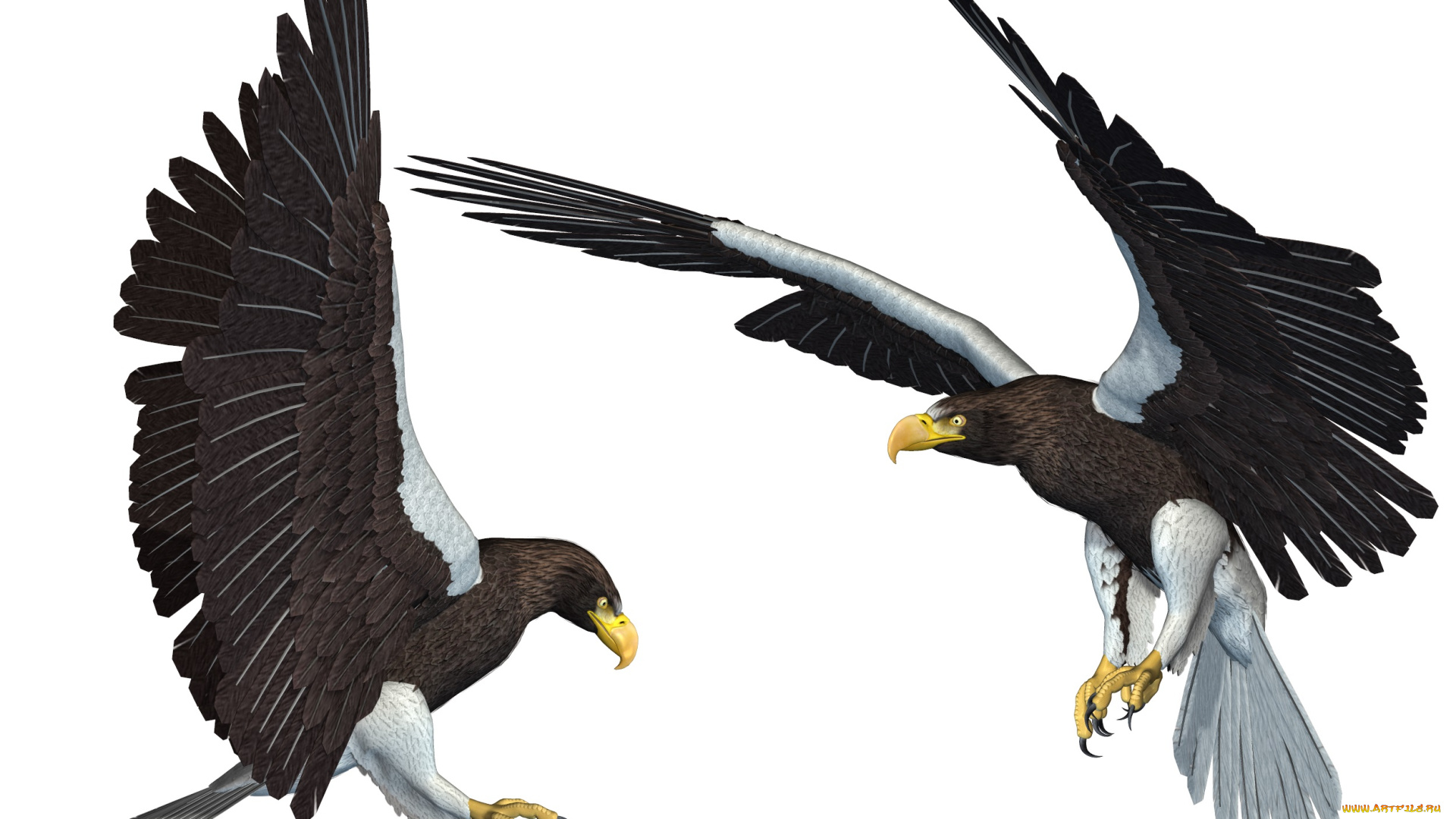 3д, графика, животные, , animals, полет, орлы, птицы