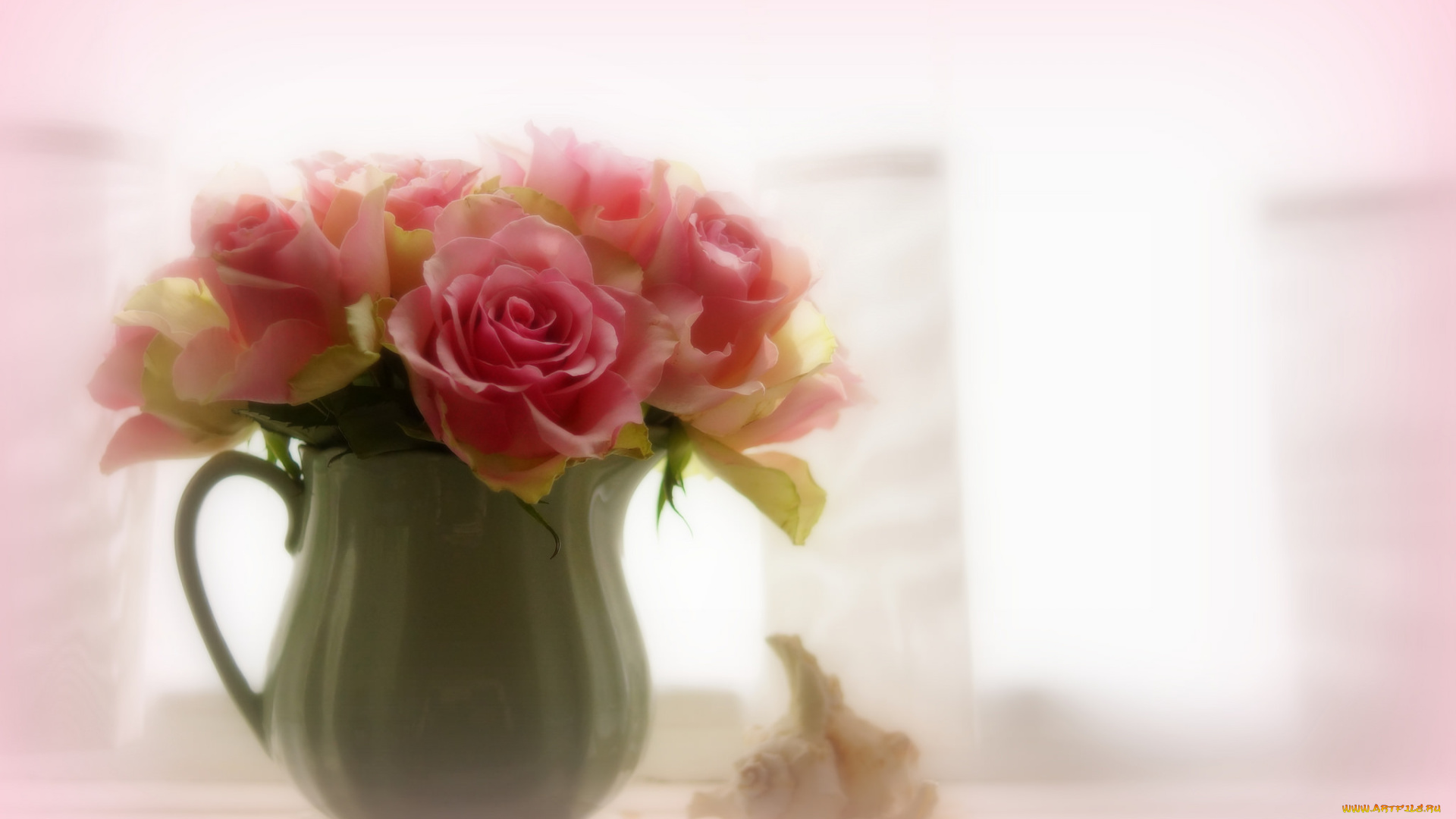 цветы, розы, нежность, кувшин, размытость, розовые