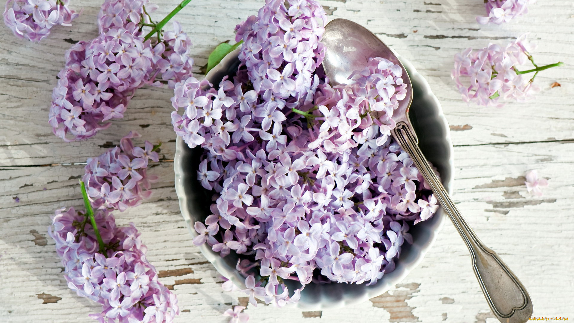 цветы, сирень, ложка, миска, ветки