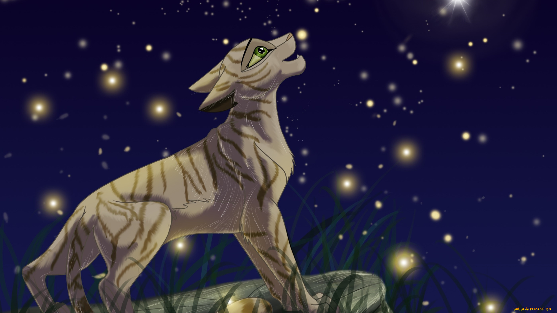 рисованное, животные, , пантеры, пантера, ночь, небо, звезды