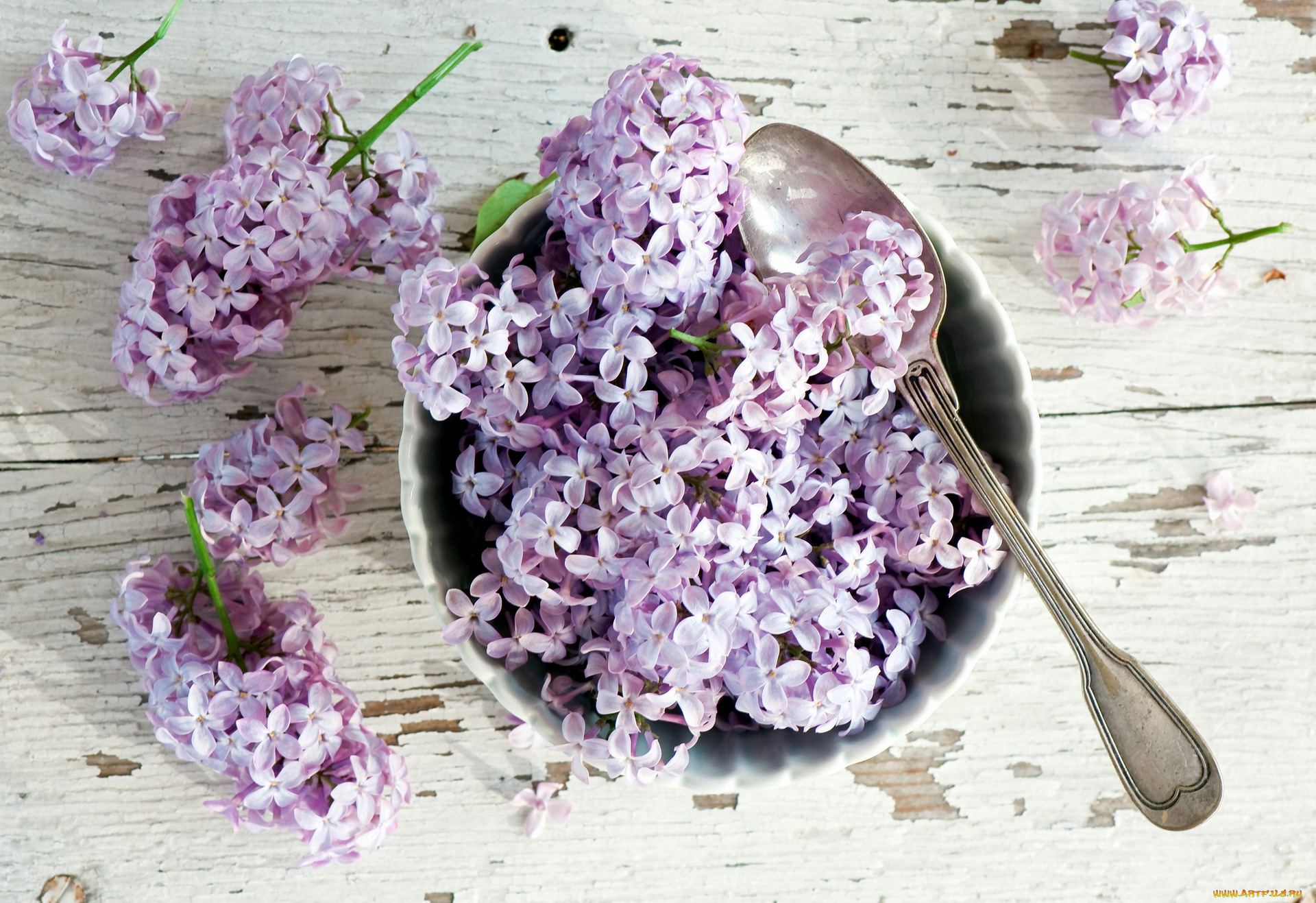 цветы, сирень, ложка, миска, ветки