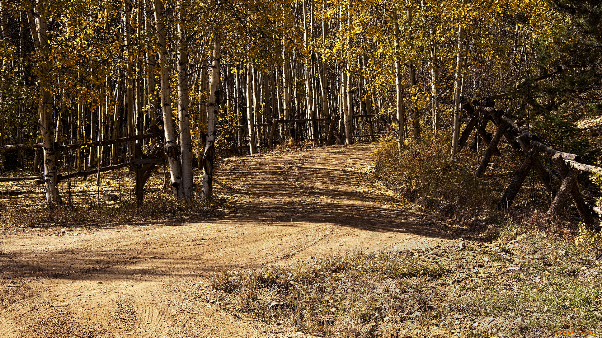 природа, дороги, тракт
