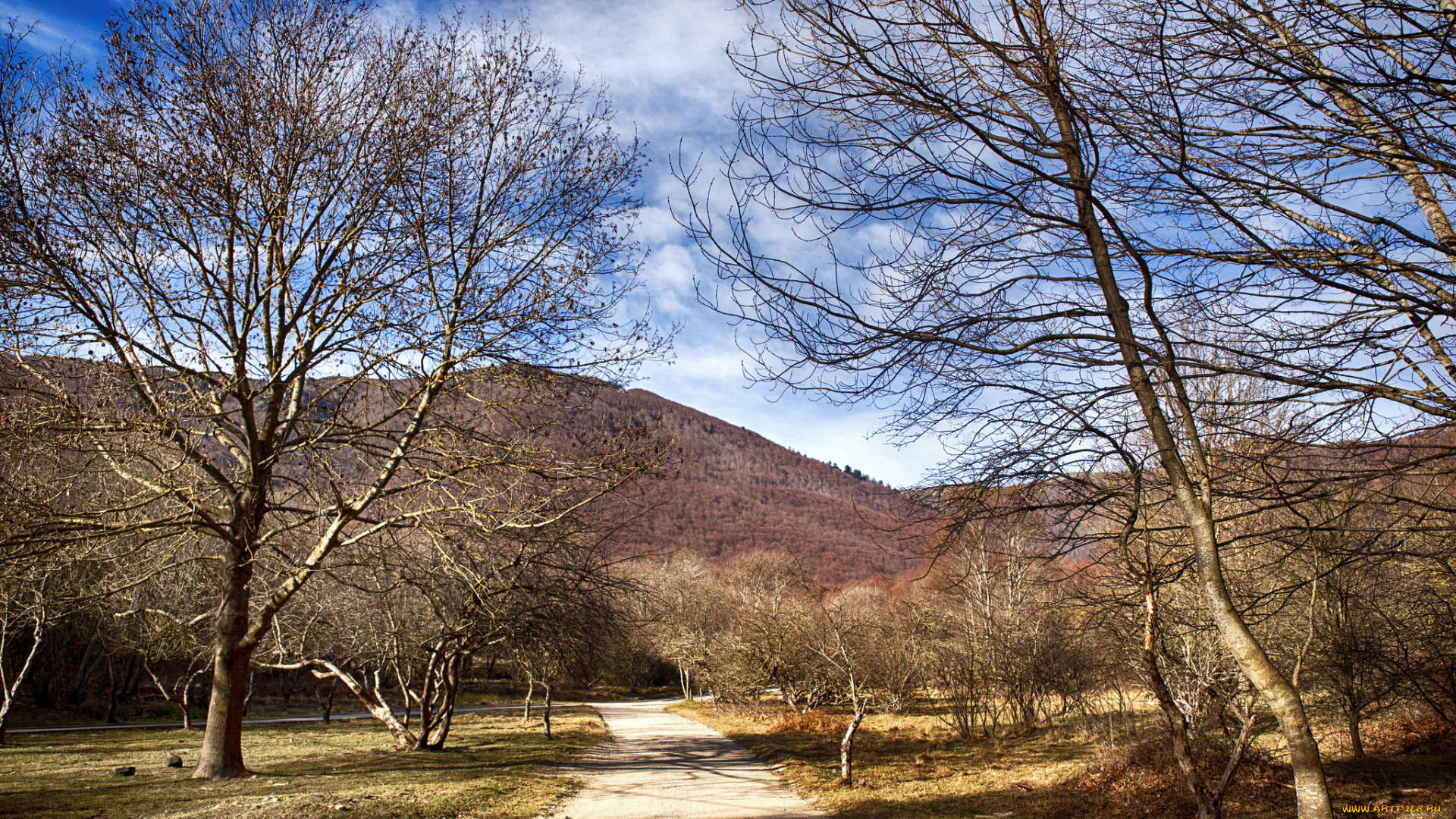 природа, дороги, тракт