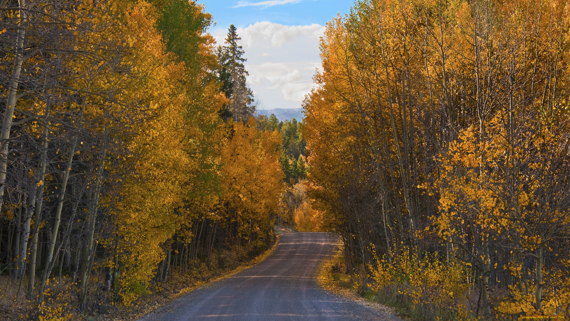 природа, дороги, тракт