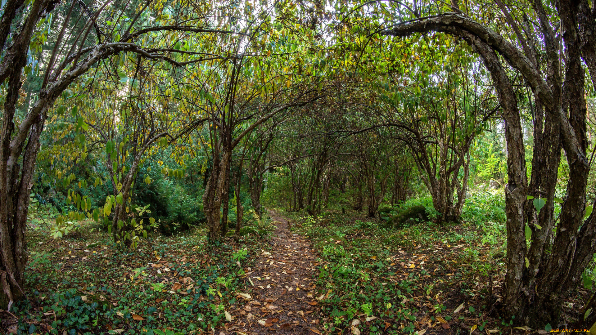 природа, дороги, тракт