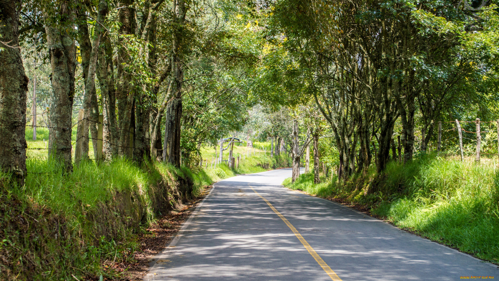 природа, дороги, тракт