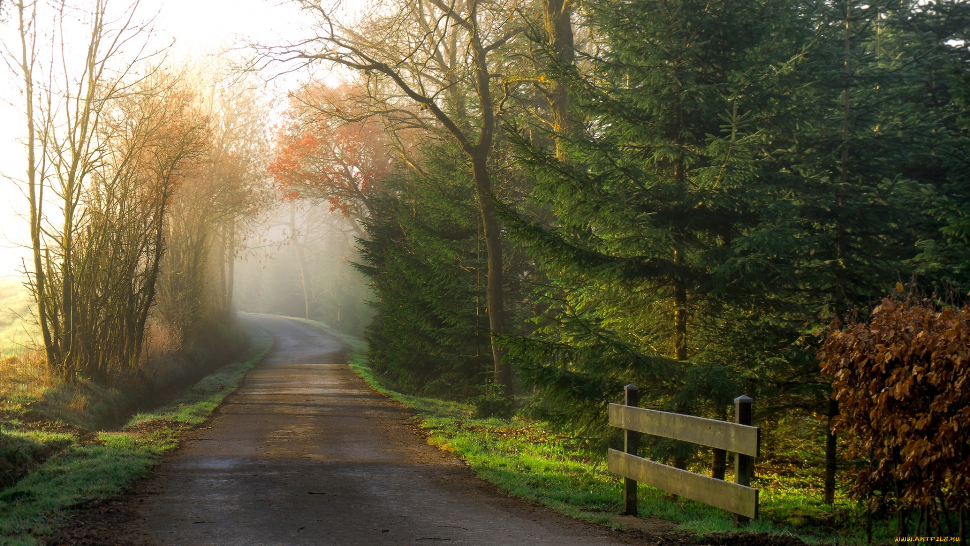 природа, дороги, тракт