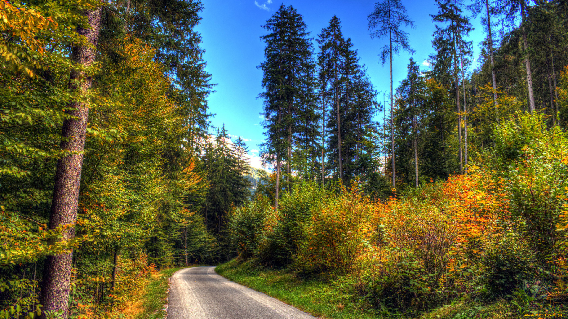 природа, дороги, тракт