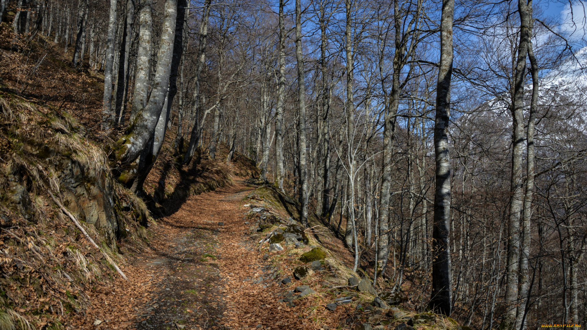 природа, дороги, тракт