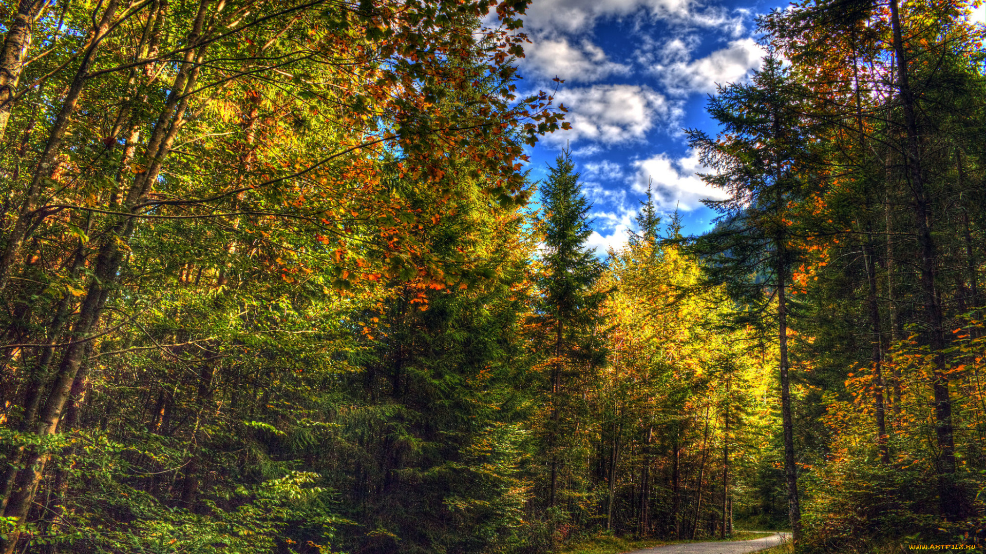 природа, дороги, тракт