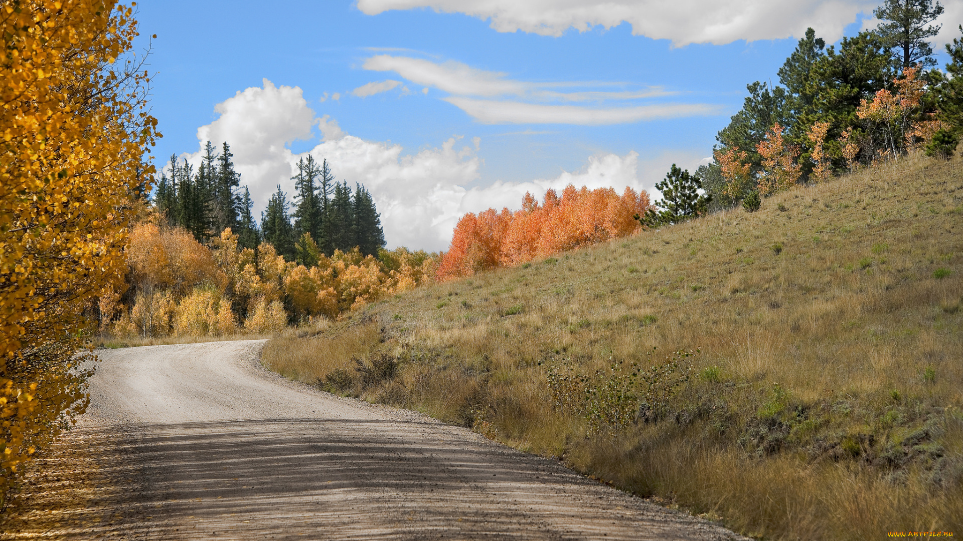 природа, дороги, тракт