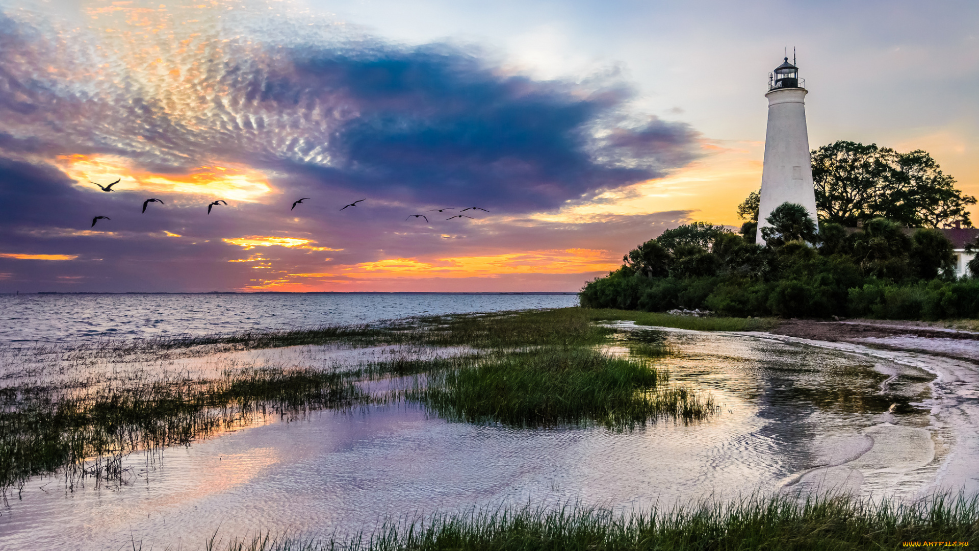 природа, маяки, маяк, побережье