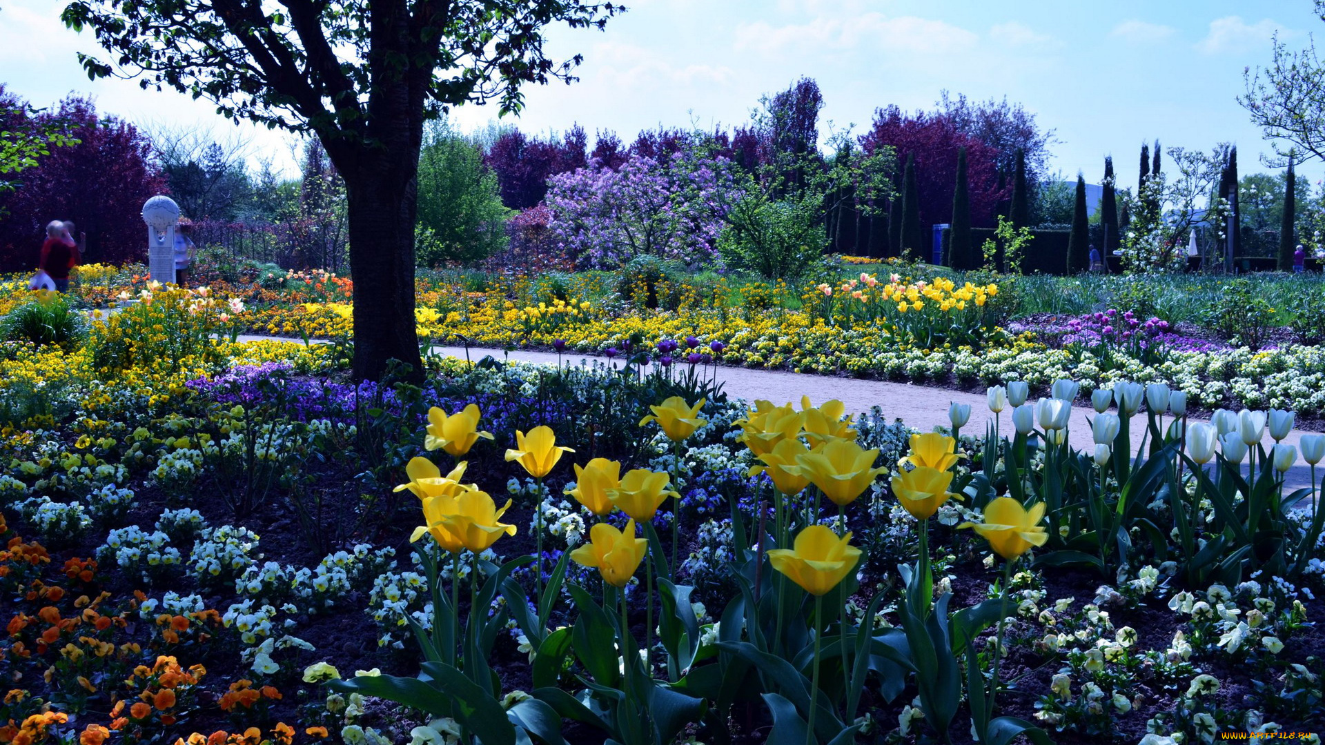 природа, парк, клумбы, цветение, весна