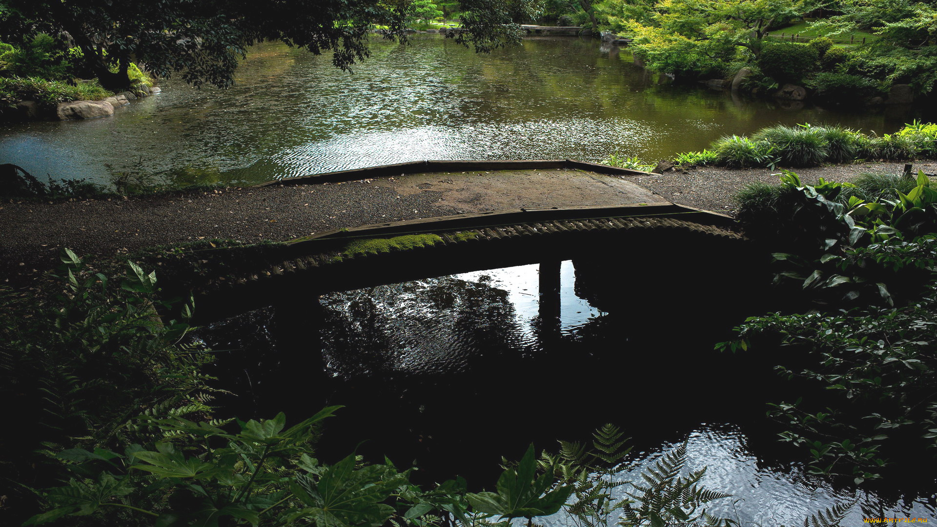 природа, парк, водоем, мостик