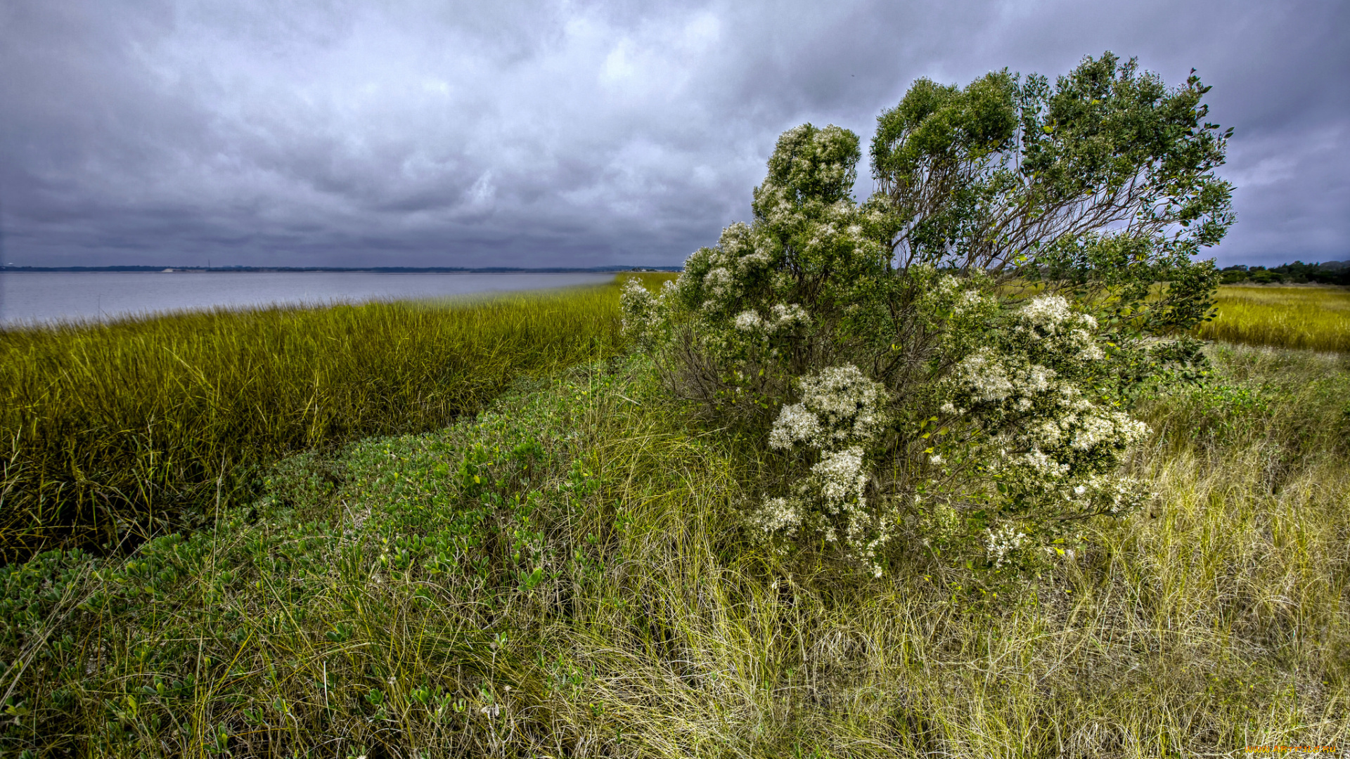 природа, побережье, берег, море