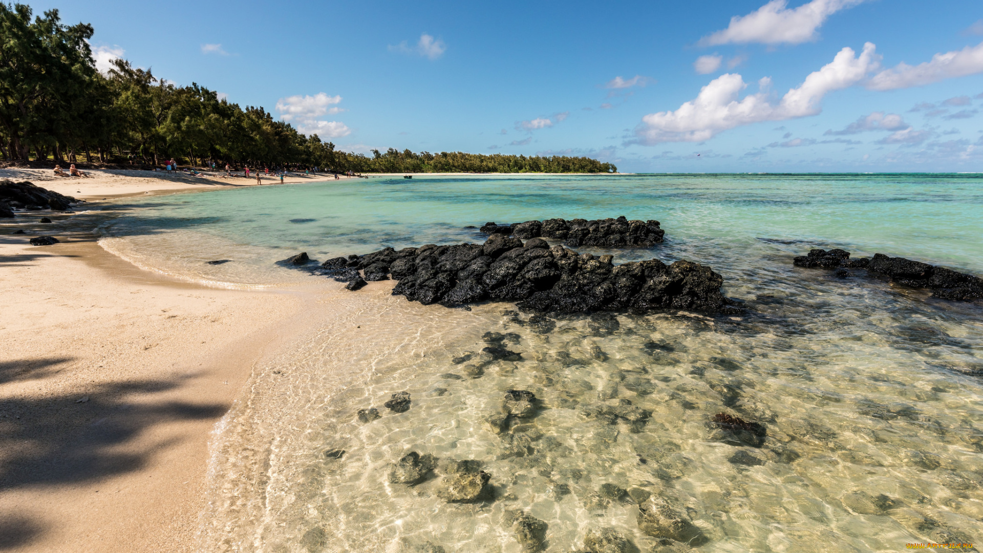 природа, побережье, берег, море