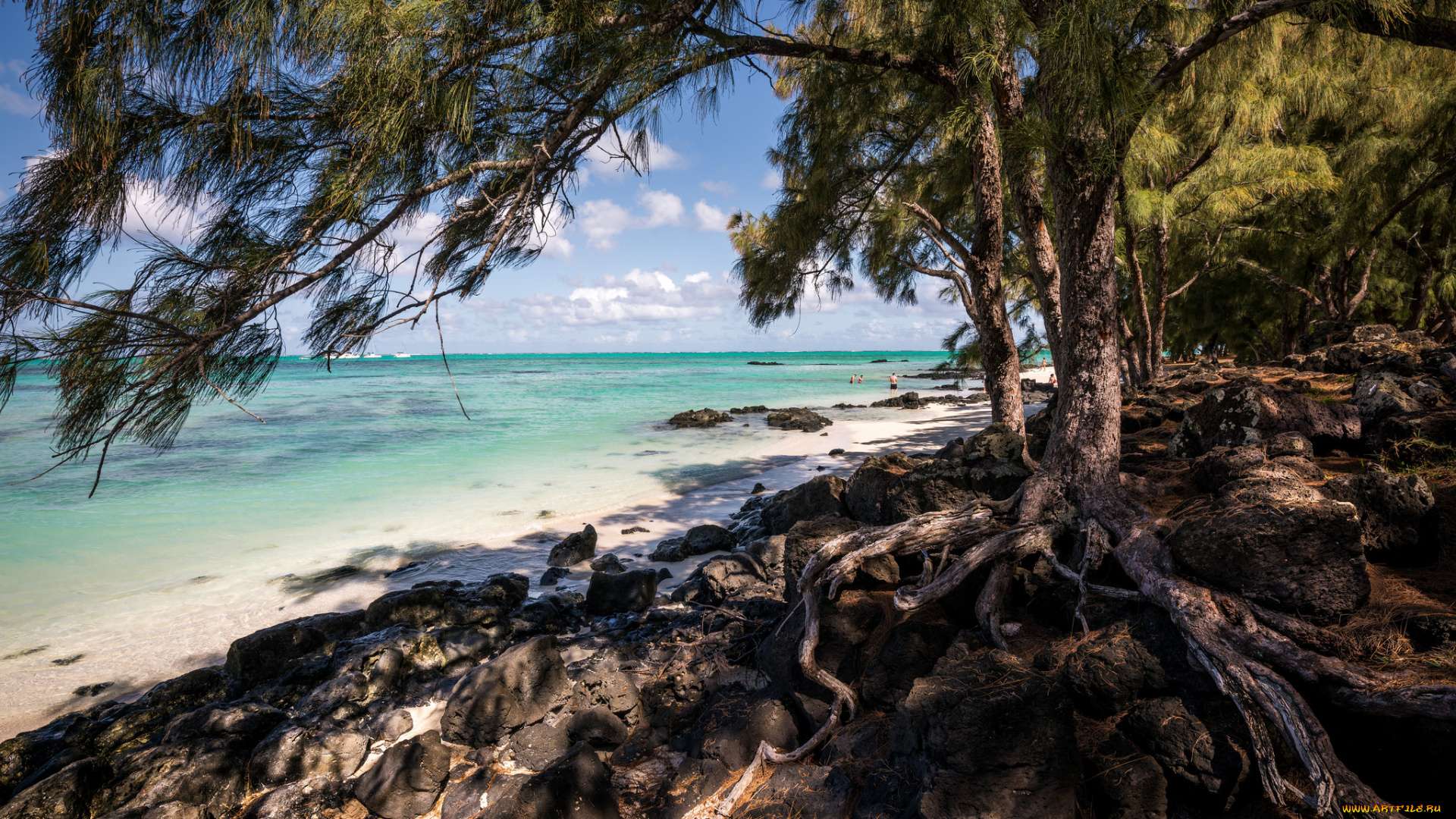 природа, побережье, берег, море