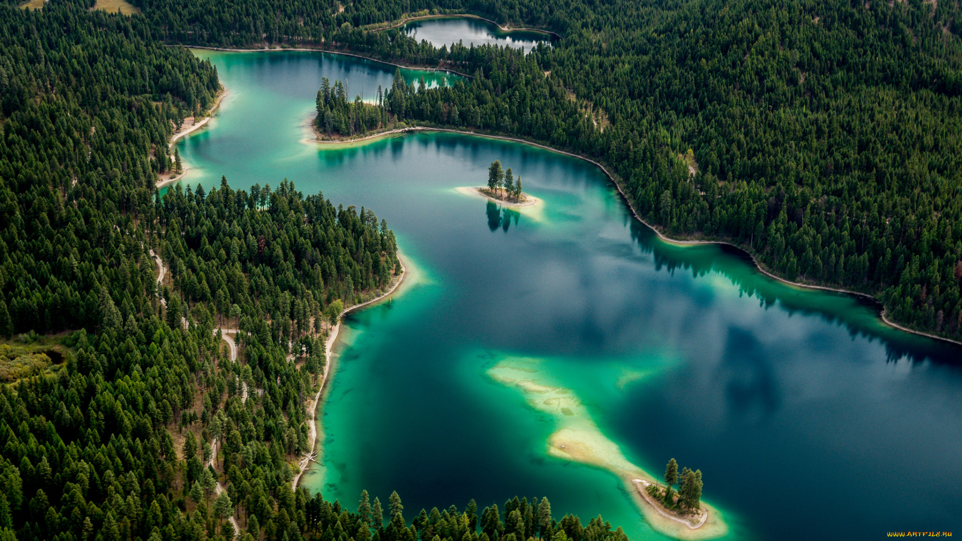 природа, реки, озера, лес, река