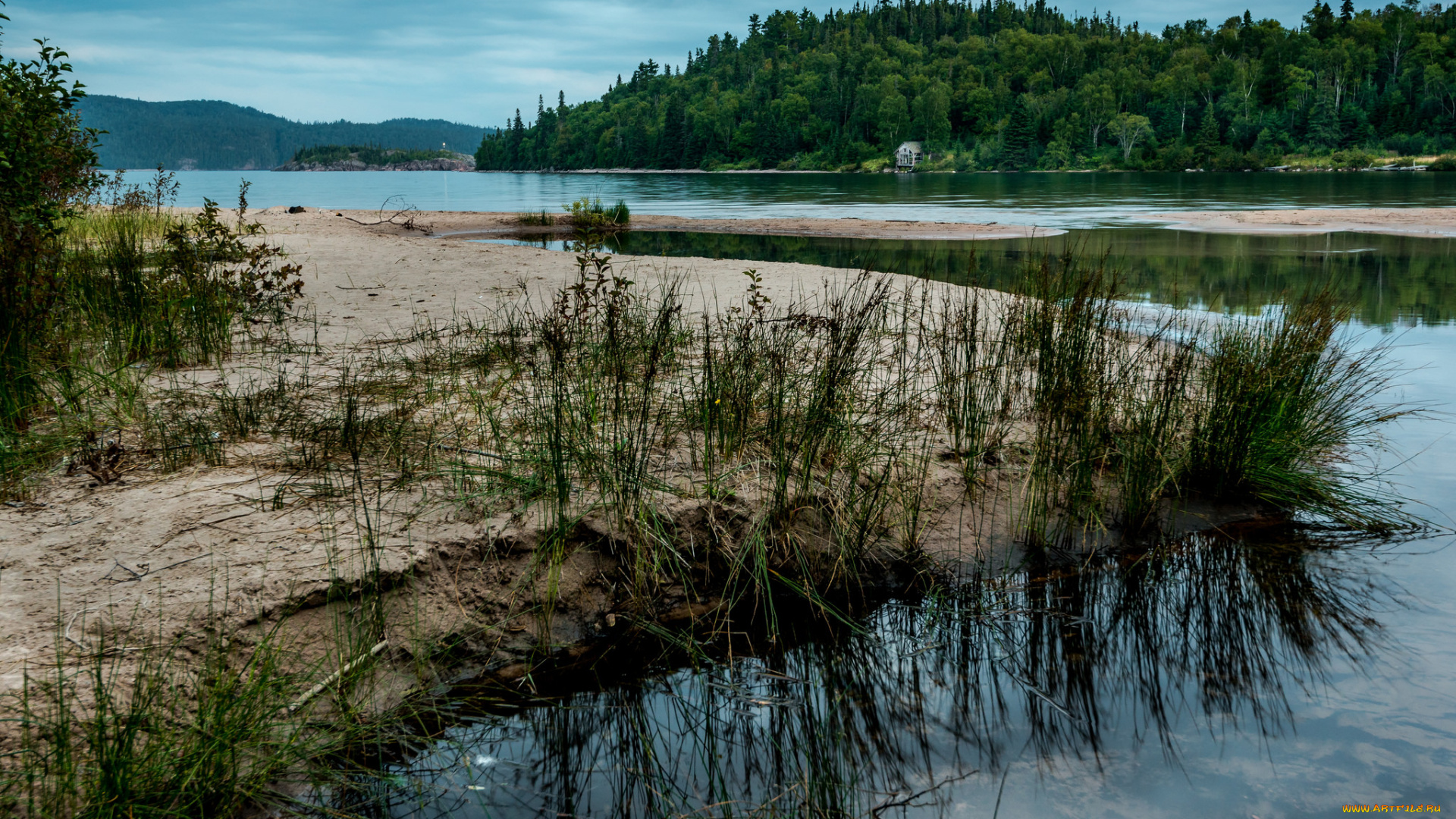 природа, реки, озера, река, лес