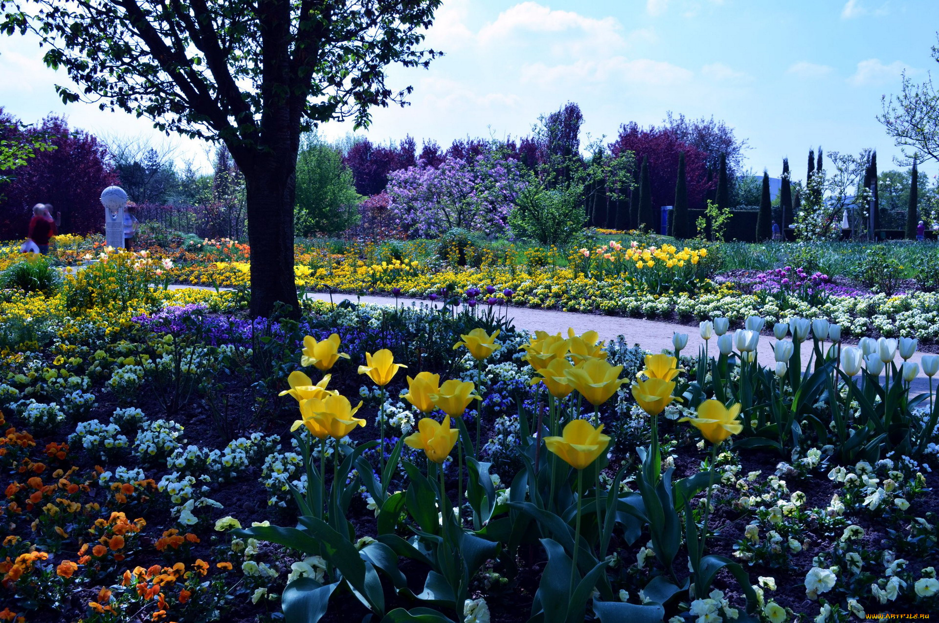 природа, парк, клумбы, цветение, весна
