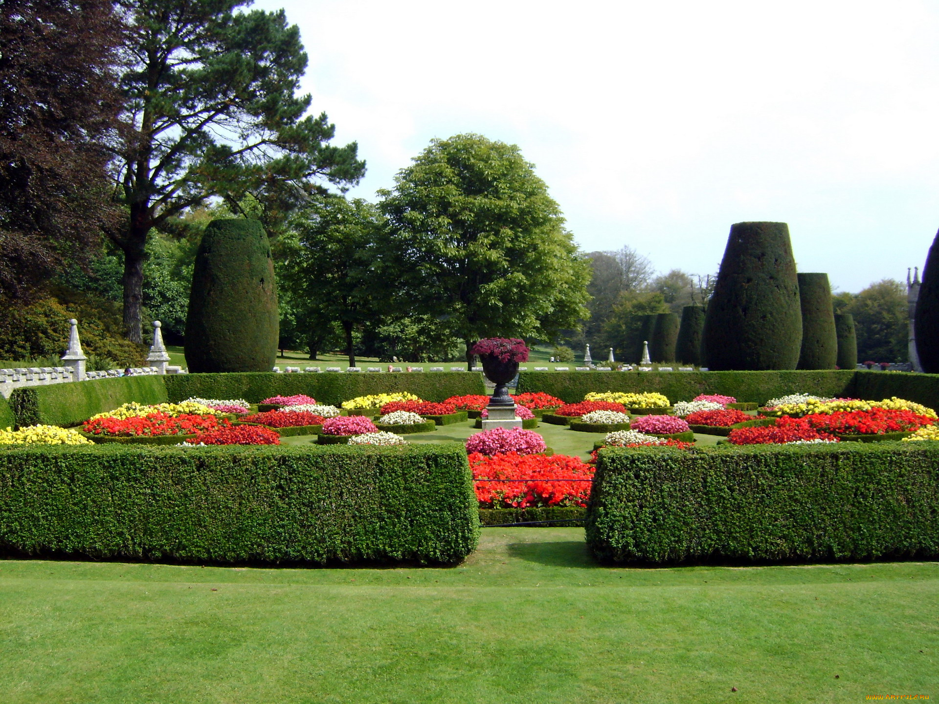 природа, парк, клумбы