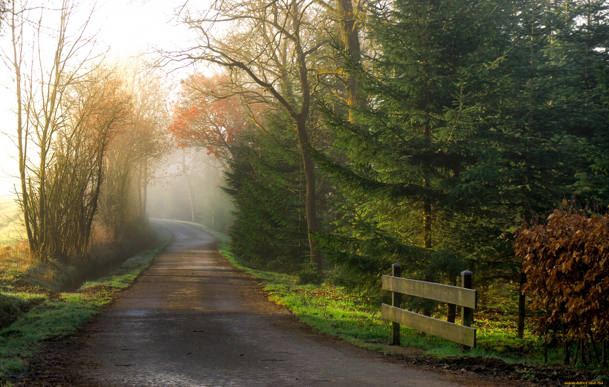природа, дороги, тракт